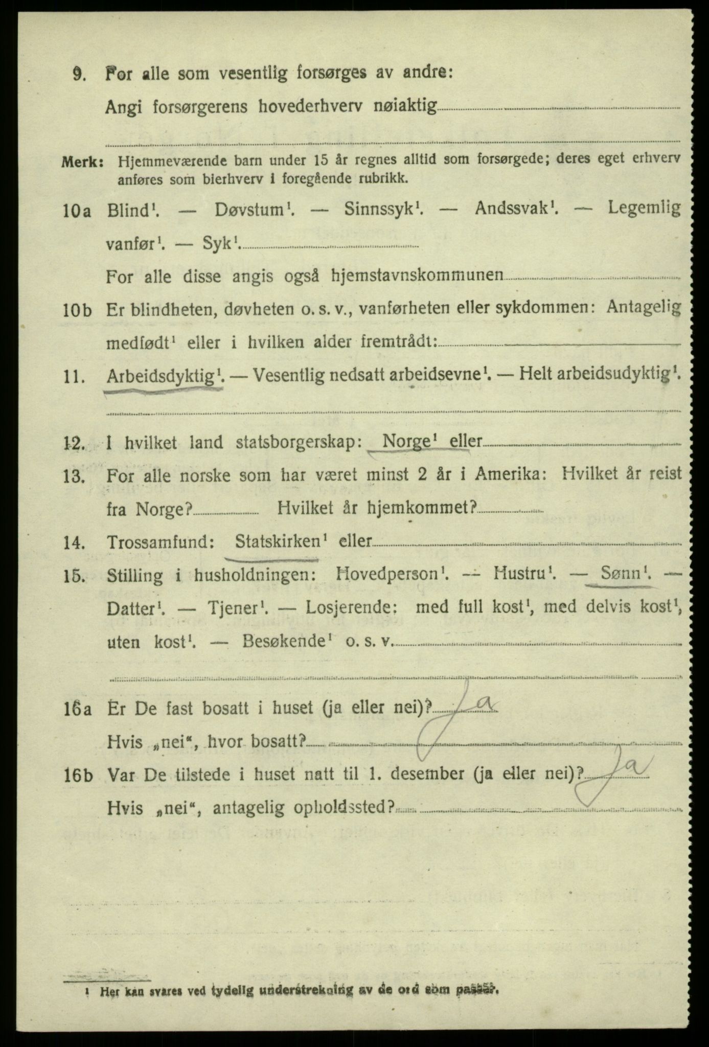 SAB, 1920 census for Odda, 1920, p. 10778