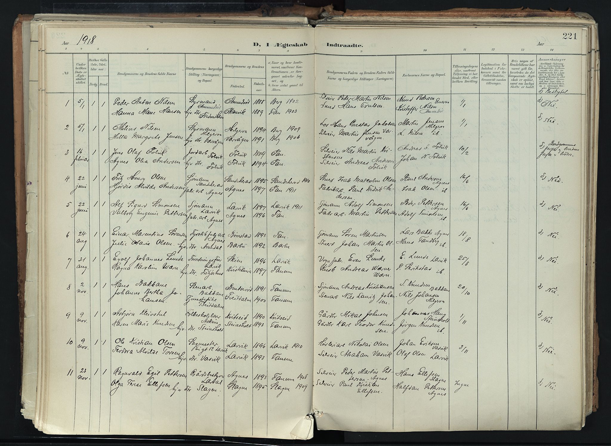 Brunlanes kirkebøker, AV/SAKO-A-342/F/Fc/L0003: Parish register (official) no. III 3, 1900-1922, p. 221