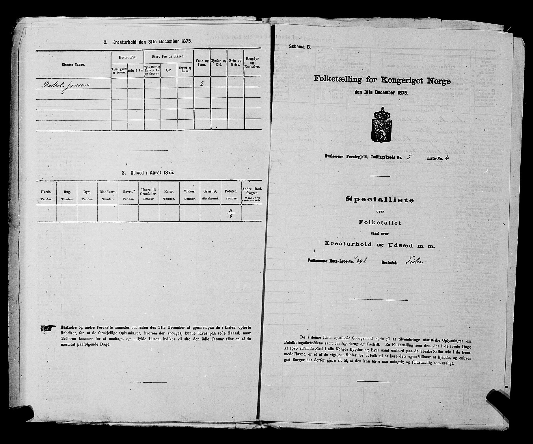 RA, 1875 census for 0111P Hvaler, 1875, p. 728