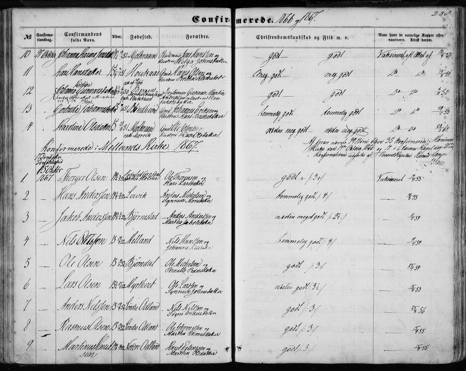 Hamre sokneprestembete, SAB/A-75501/H/Ha/Haa/Haaa/L0014: Parish register (official) no. A 14, 1858-1872, p. 238