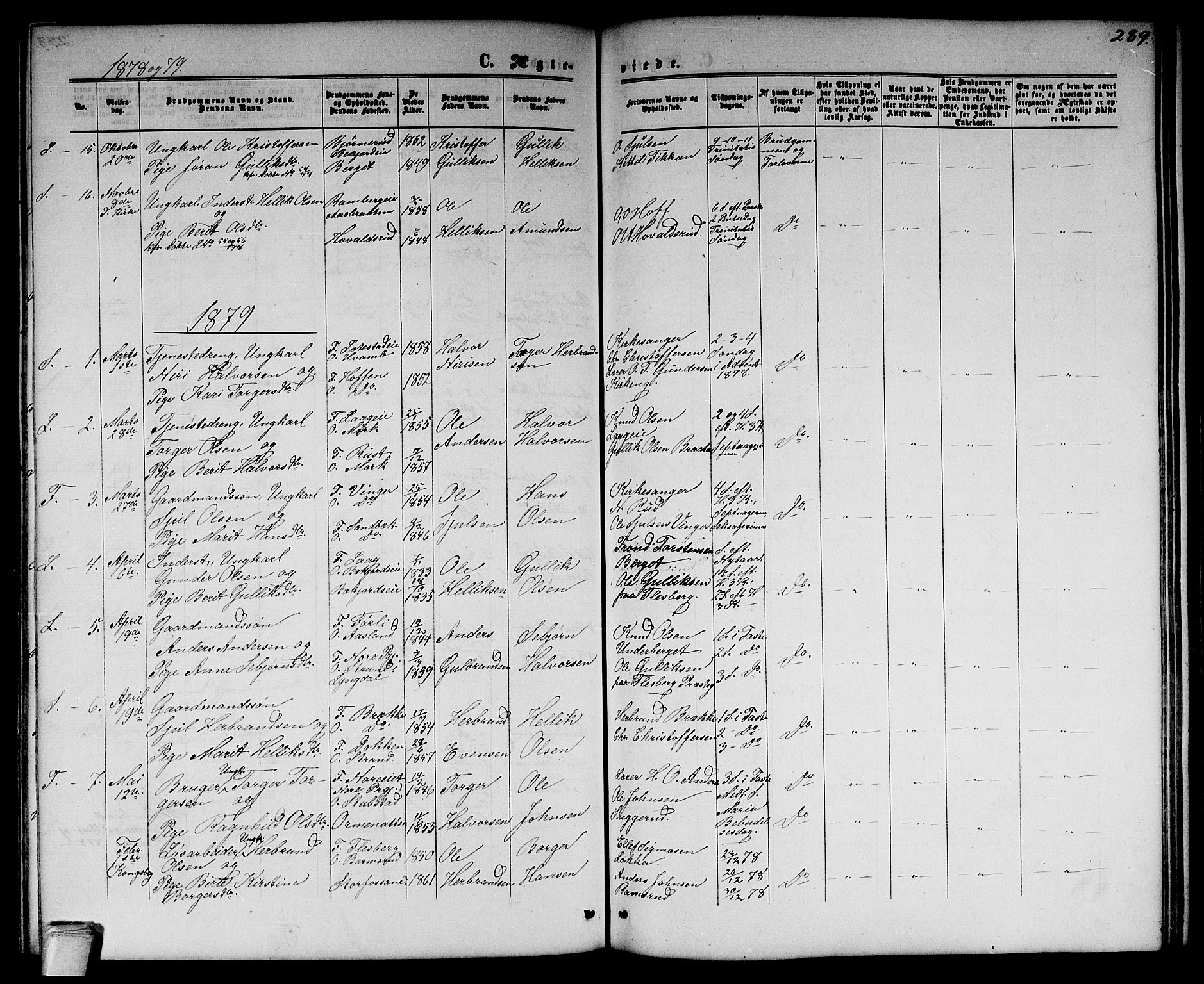 Flesberg kirkebøker, SAKO/A-18/G/Ga/L0003: Parish register (copy) no. I 3, 1861-1889, p. 289