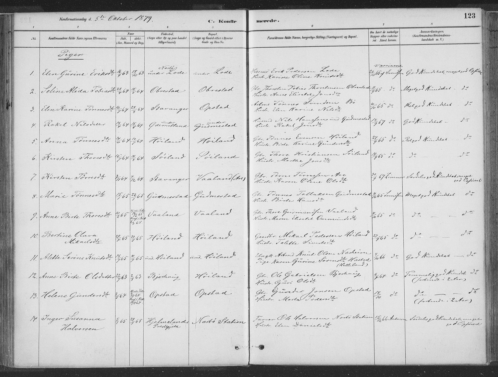 Hå sokneprestkontor, SAST/A-101801/001/30BA/L0010: Parish register (official) no. A 9, 1879-1896, p. 123