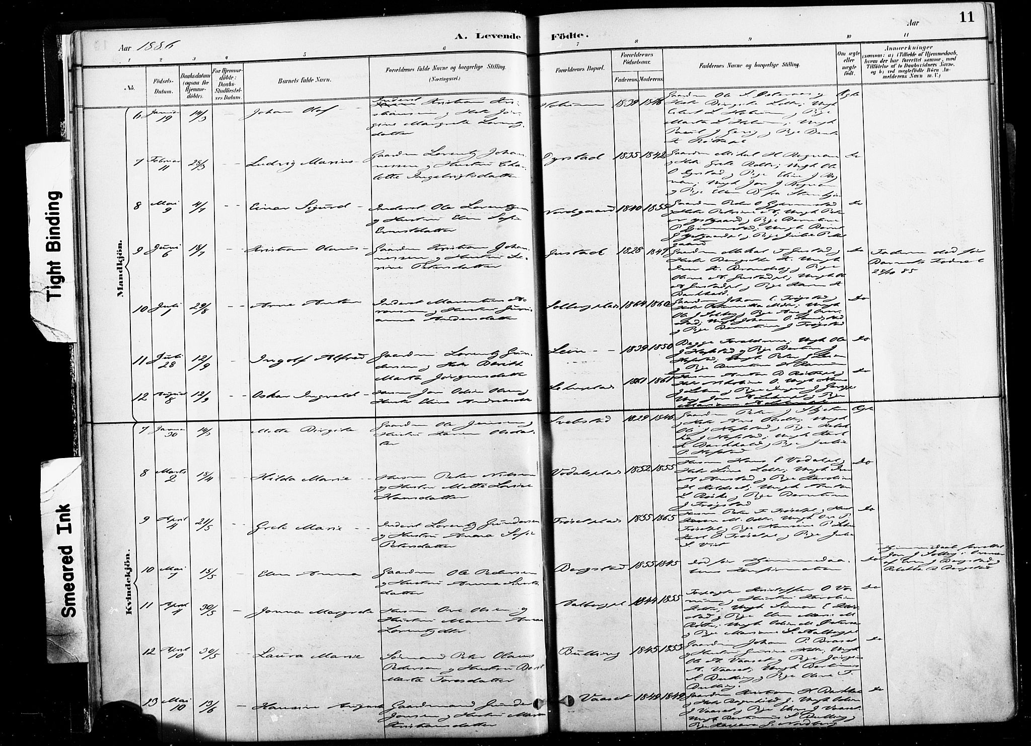 Ministerialprotokoller, klokkerbøker og fødselsregistre - Nord-Trøndelag, SAT/A-1458/735/L0351: Parish register (official) no. 735A10, 1884-1908, p. 11