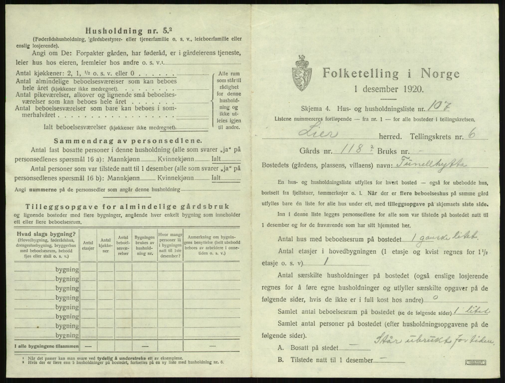 SAKO, 1920 census for Lier, 1920, p. 1074