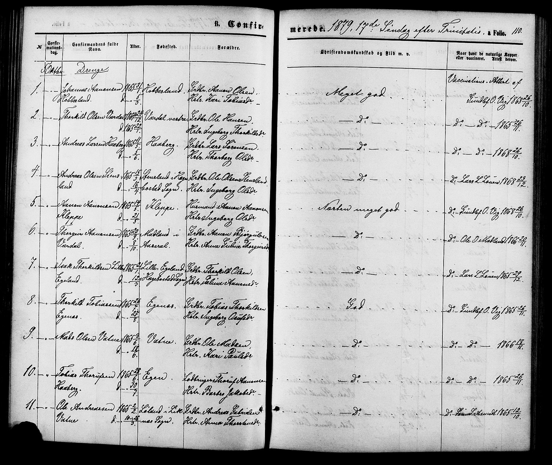 Hægebostad sokneprestkontor, AV/SAK-1111-0024/F/Fa/Fab/L0003: Parish register (official) no. A 3, 1872-1886, p. 110
