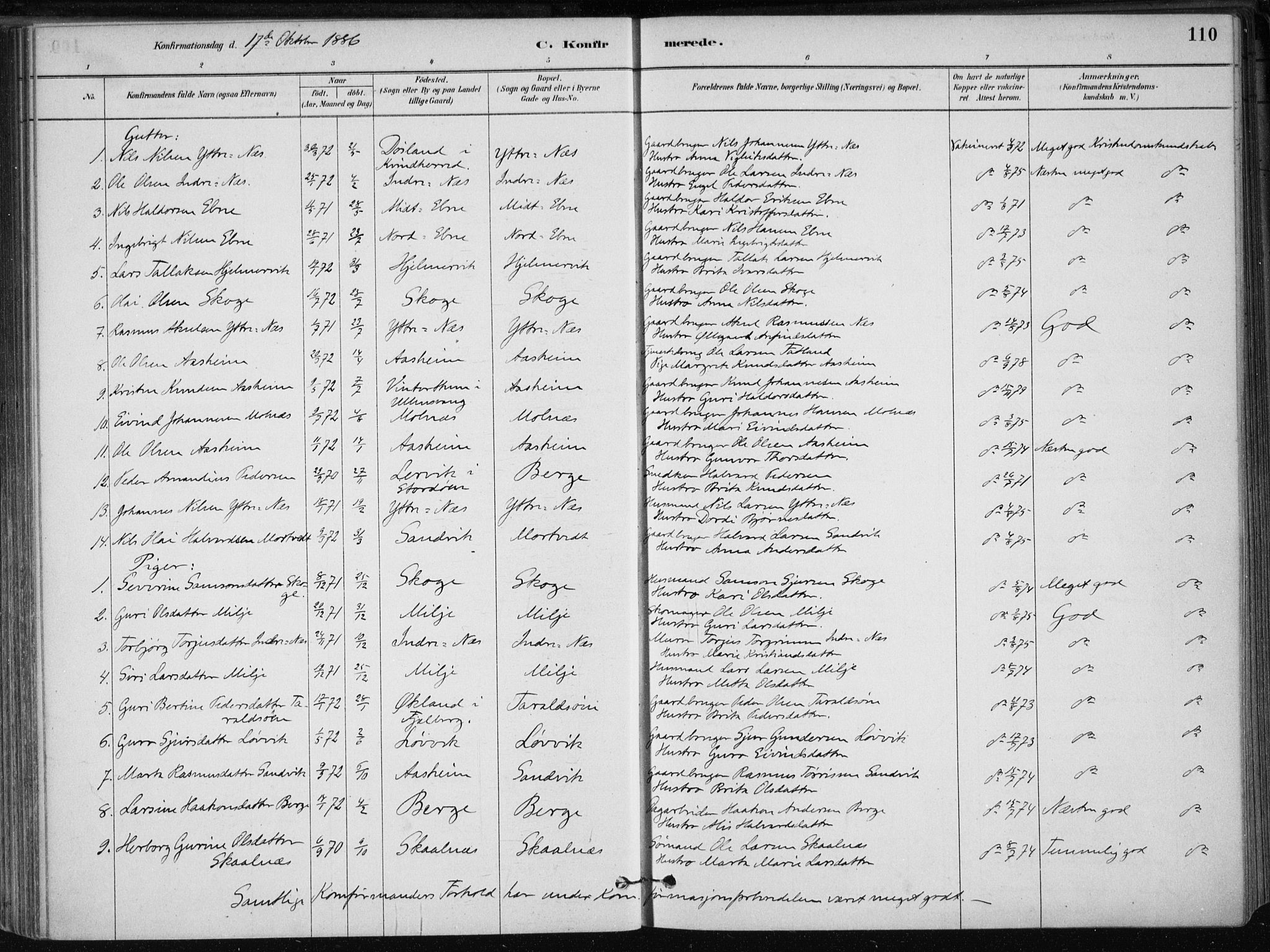 Skånevik sokneprestembete, SAB/A-77801/H/Haa: Parish register (official) no. B 1, 1879-1914, p. 110