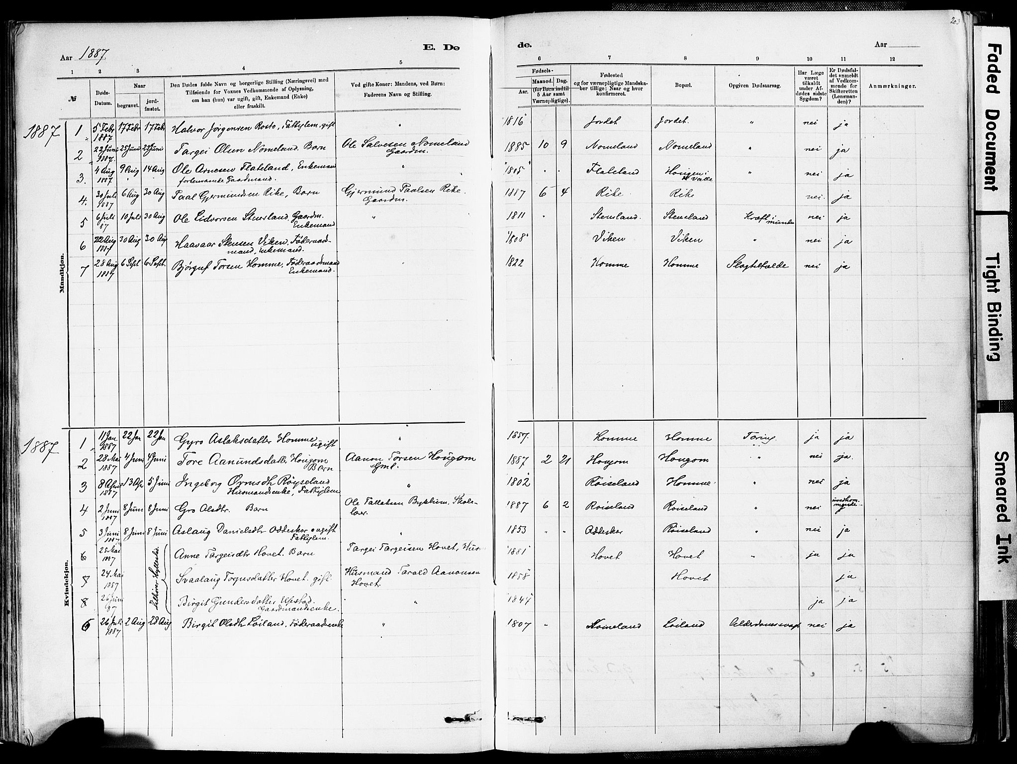 Valle sokneprestkontor, AV/SAK-1111-0044/F/Fa/Fac/L0009: Parish register (official) no. A 9, 1882-1913, p. 203