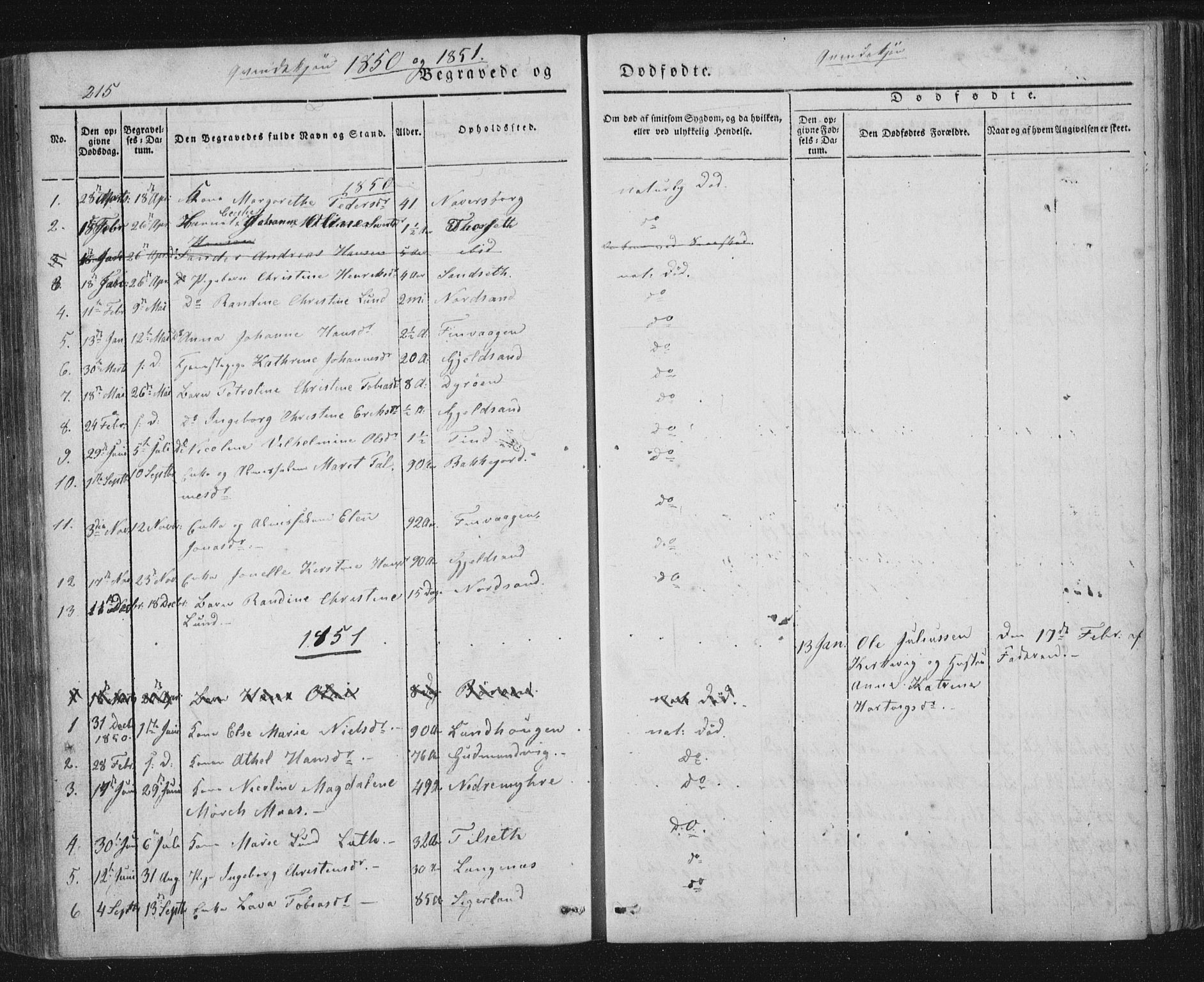 Ministerialprotokoller, klokkerbøker og fødselsregistre - Nordland, AV/SAT-A-1459/893/L1332: Parish register (official) no. 893A05, 1841-1858, p. 215