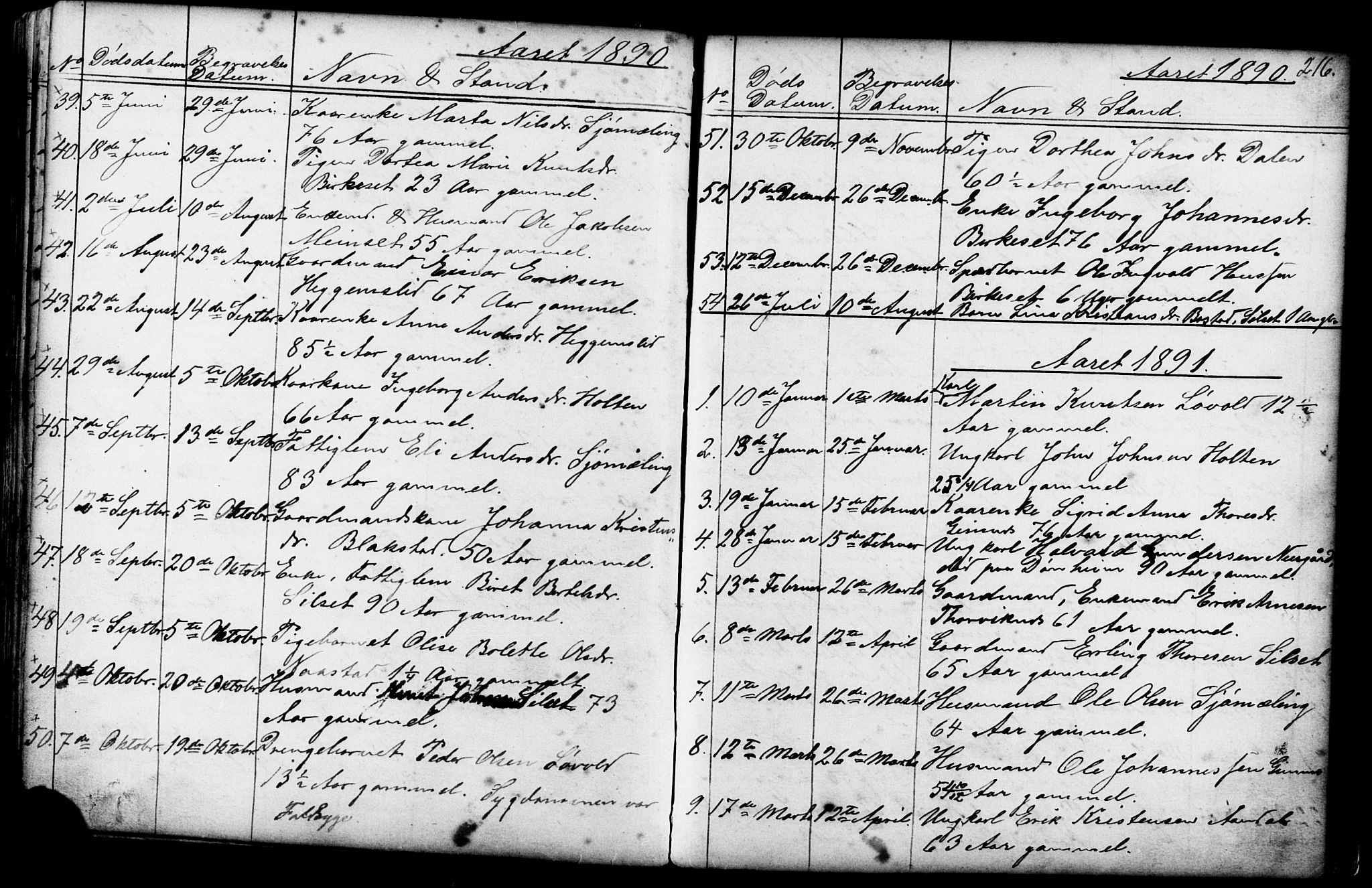 Ministerialprotokoller, klokkerbøker og fødselsregistre - Møre og Romsdal, AV/SAT-A-1454/584/L0969: Parish register (copy) no. 584C02, 1877-1911, p. 216