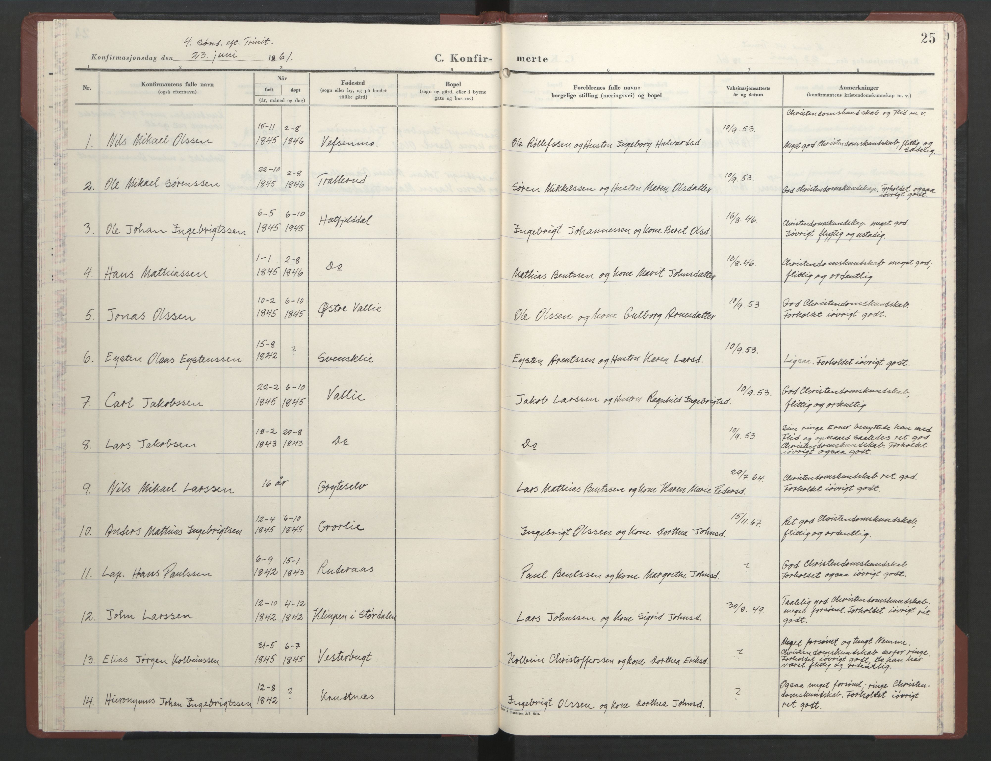 Ministerialprotokoller, klokkerbøker og fødselsregistre - Nordland, AV/SAT-A-1459/823/L0335: Parish register (official) no. 823D01, 1860-1864, p. 25