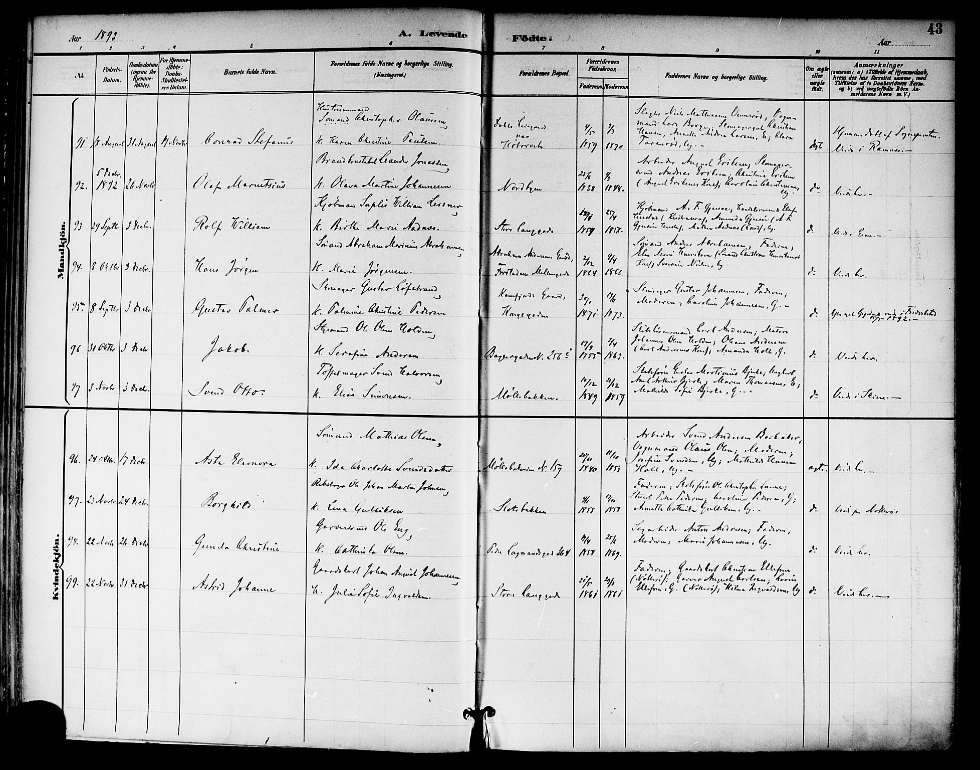Tønsberg kirkebøker, SAKO/A-330/F/Fa/L0012: Parish register (official) no. I 12, 1891-1899, p. 43