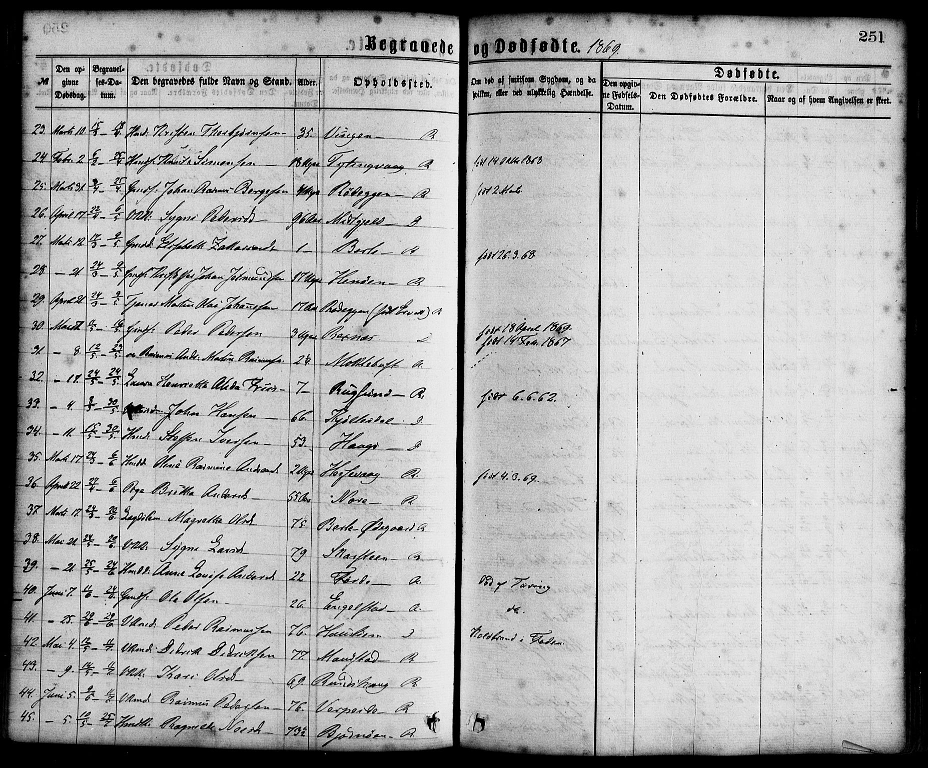 Davik sokneprestembete, AV/SAB-A-79701/H/Haa/Haaa/L0006: Parish register (official) no. A 6, 1867-1881, p. 251