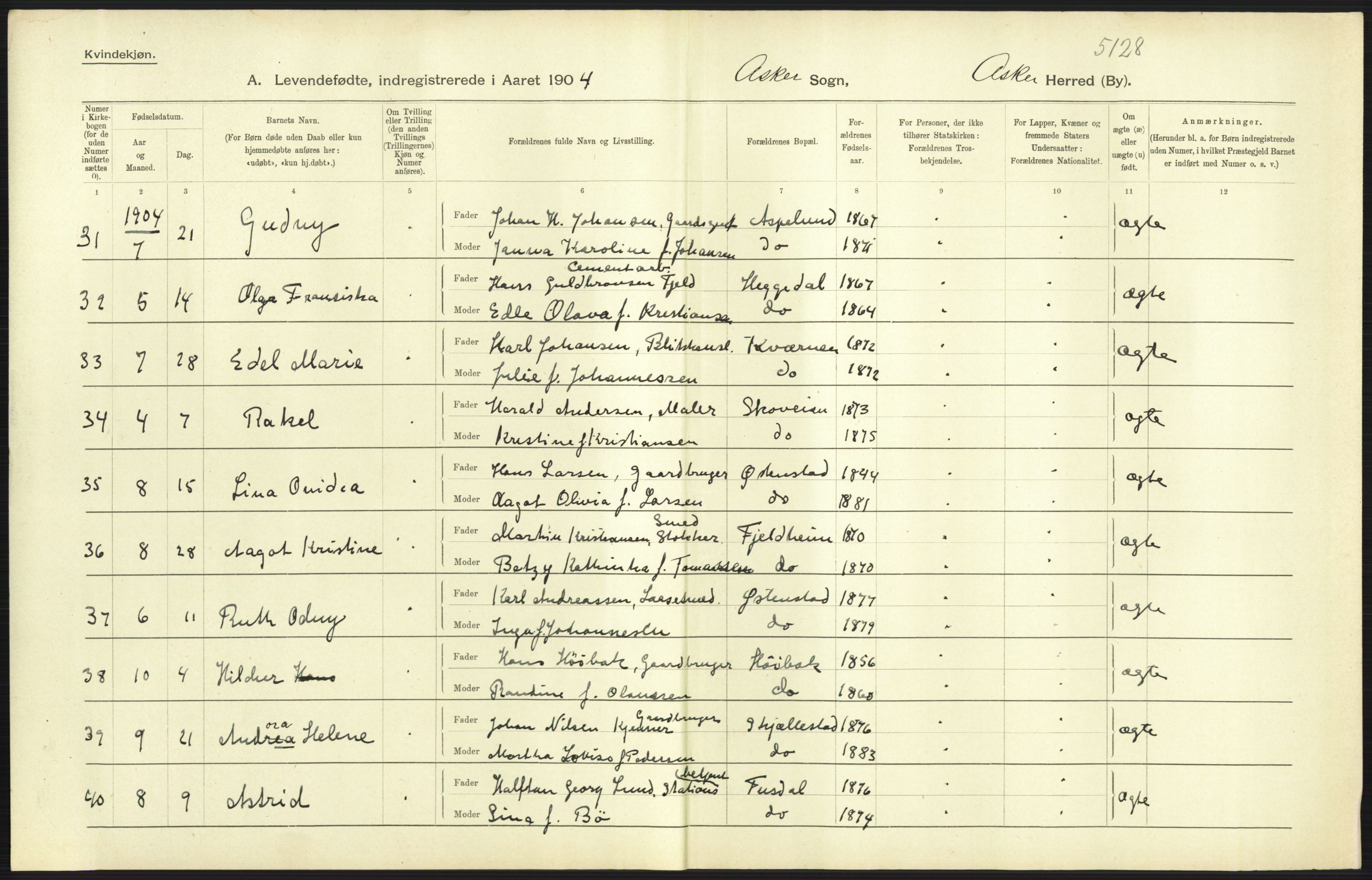 Statistisk sentralbyrå, Sosiodemografiske emner, Befolkning, AV/RA-S-2228/D/Df/Dfa/Dfab/L0002: Akershus amt: Fødte, gifte, døde, 1904, p. 57