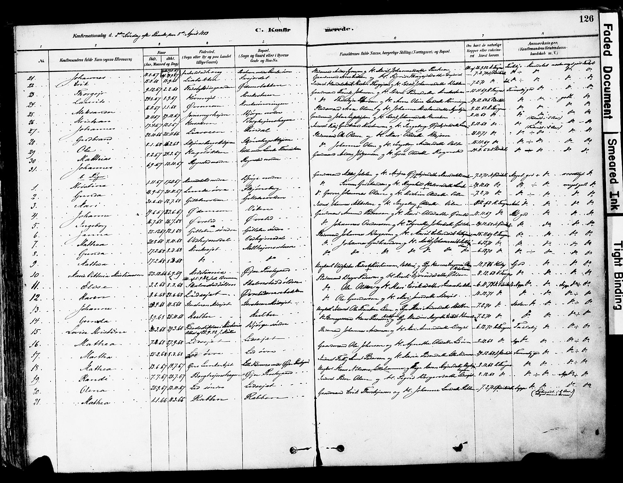 Øyer prestekontor, SAH/PREST-084/H/Ha/Haa/L0008: Parish register (official) no. 8, 1878-1897, p. 126