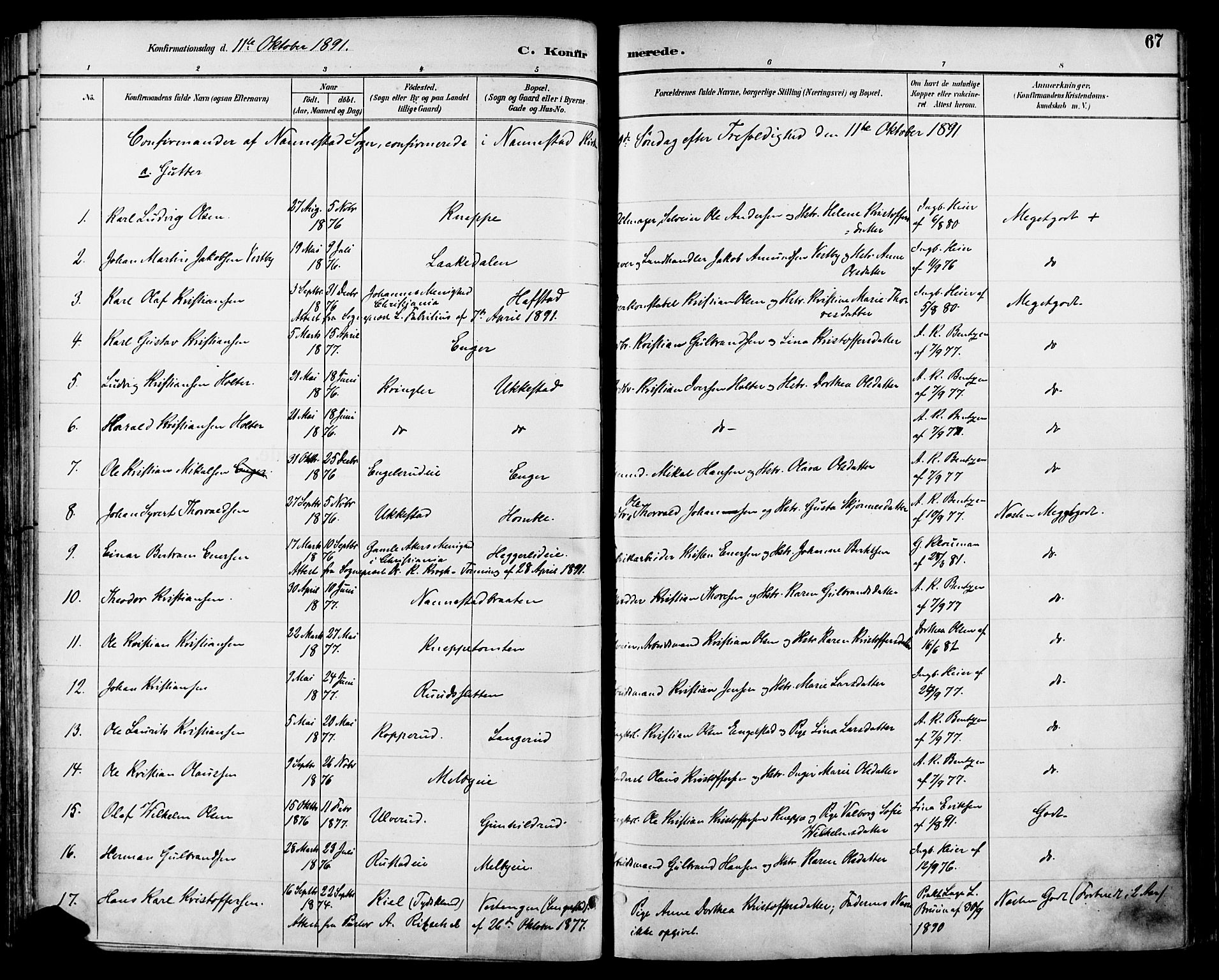 Nannestad prestekontor Kirkebøker, SAO/A-10414a/F/Fa/L0015: Parish register (official) no. I 15, 1891-1905, p. 67