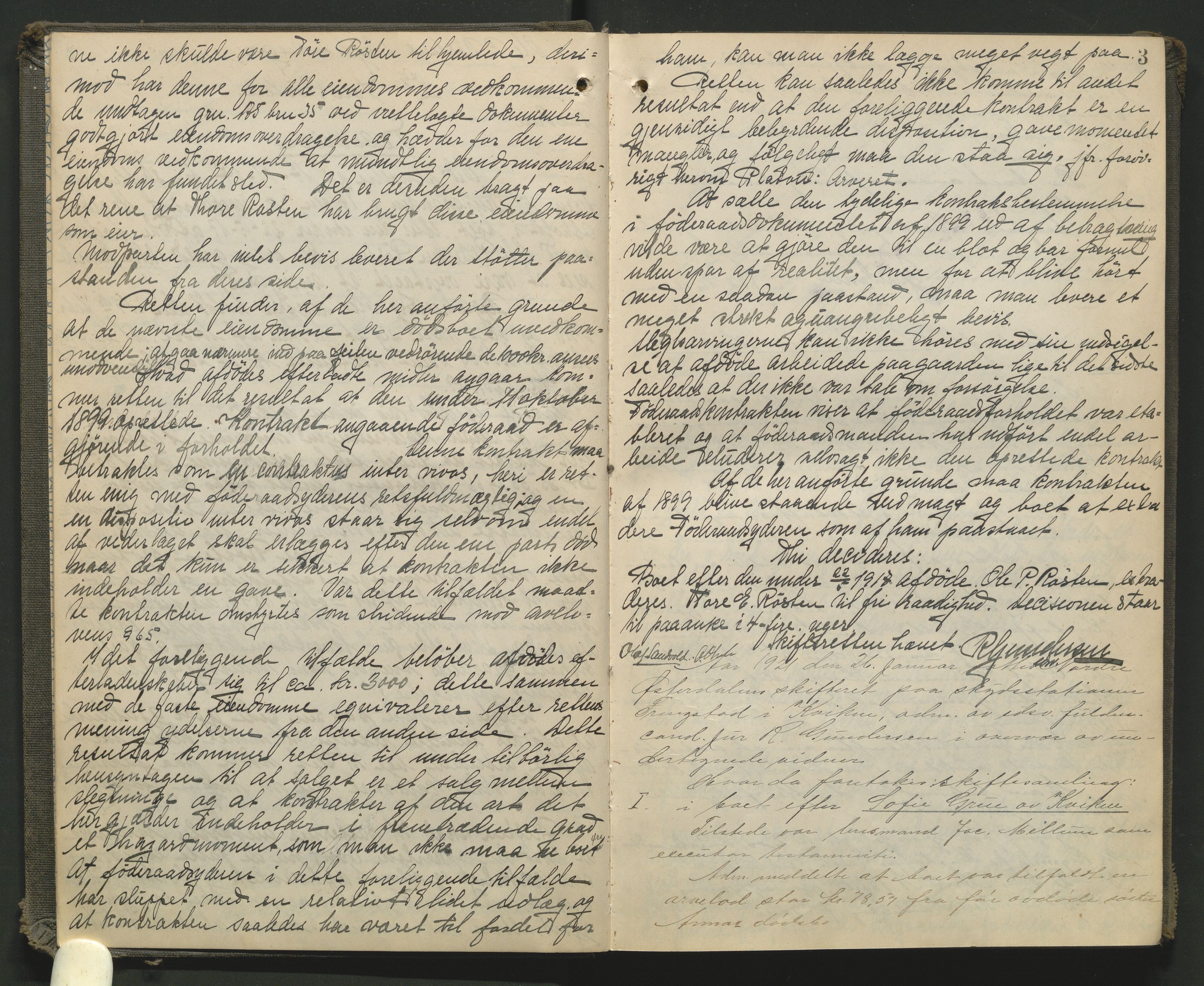 Nord-Østerdal tingrett, AV/SAH-TING-020/J/Jc/L0007: Skifteforhandlingsprotokoll, 1920-1924, p. 3