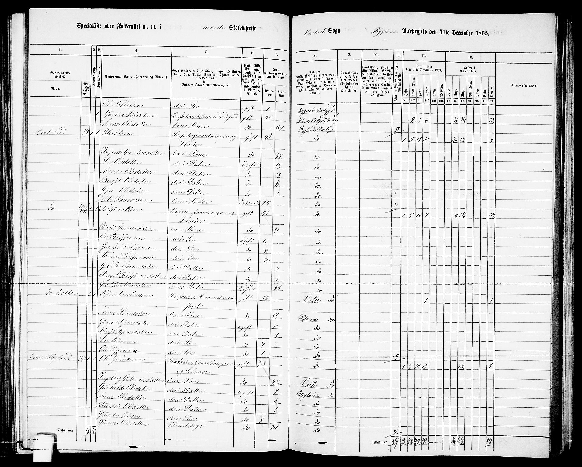 RA, 1865 census for Bygland, 1865, p. 9