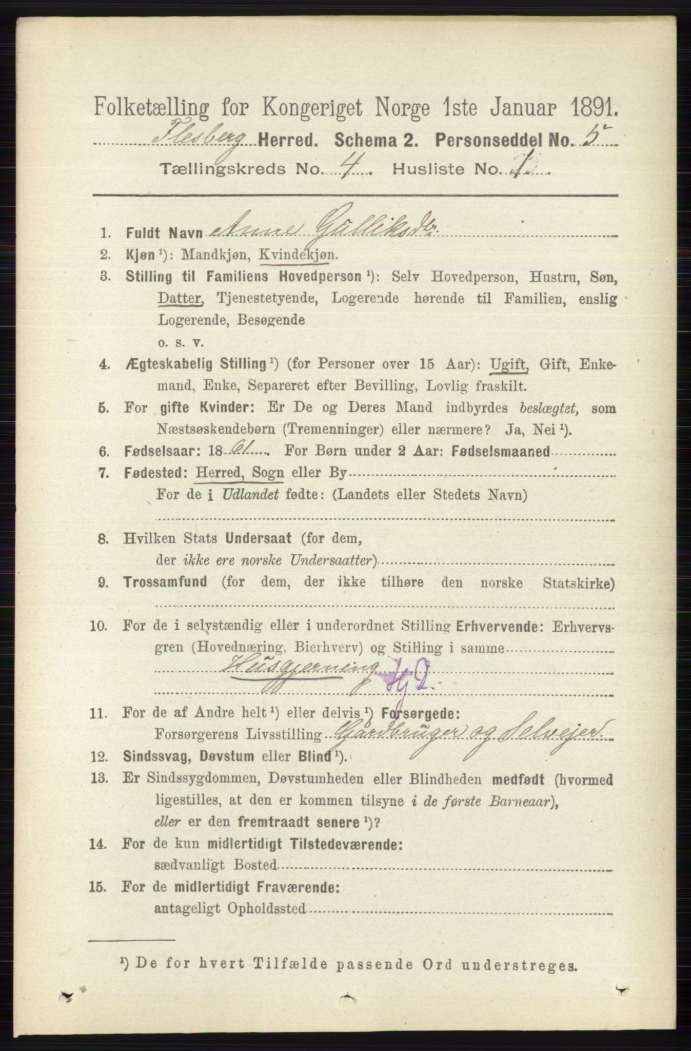 RA, 1891 census for 0631 Flesberg, 1891, p. 524