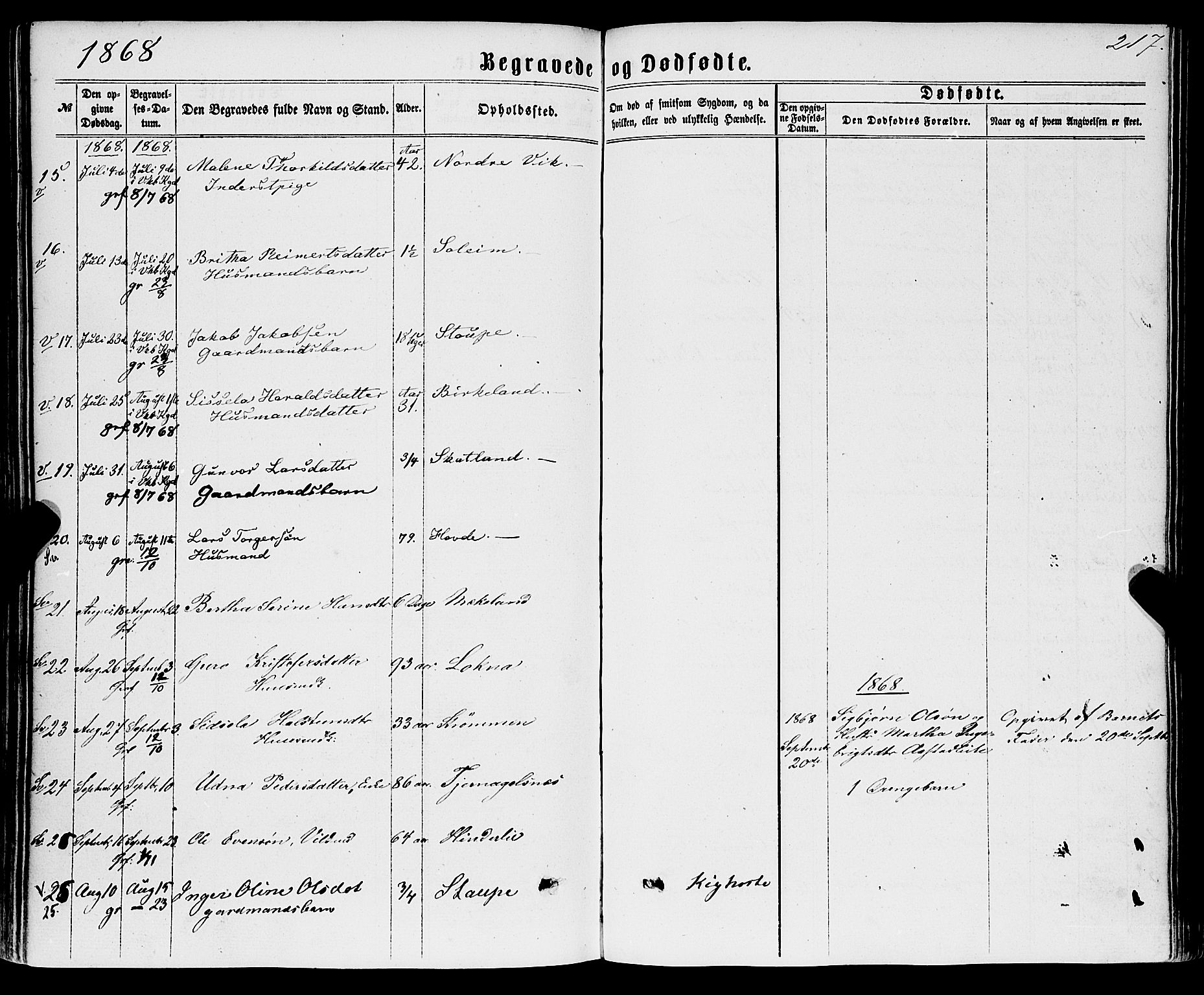 Sveio Sokneprestembete, AV/SAB-A-78501/H/Haa: Parish register (official) no. A 1, 1861-1877, p. 217