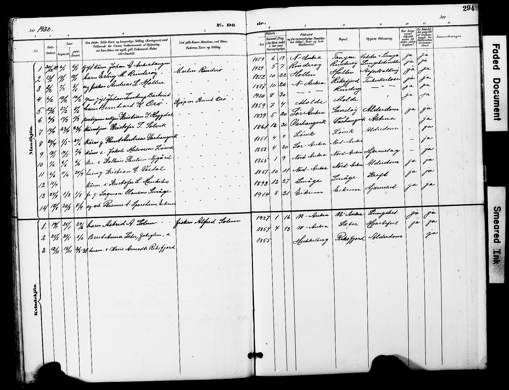 Ministerialprotokoller, klokkerbøker og fødselsregistre - Møre og Romsdal, SAT/A-1454/560/L0725: Parish register (copy) no. 560C02, 1895-1930, p. 294