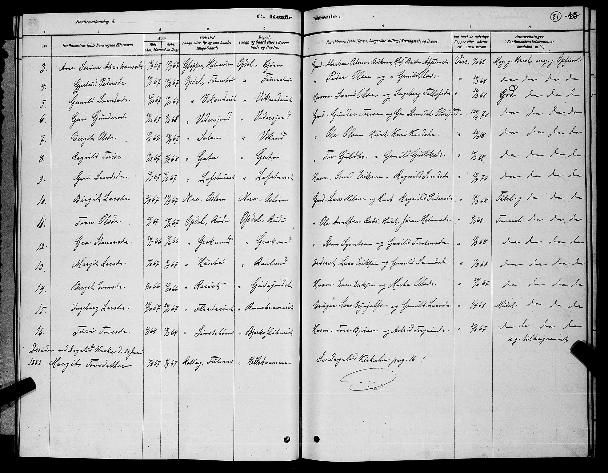 Nore kirkebøker, SAKO/A-238/G/Gb/L0002: Parish register (copy) no. II 2, 1878-1894, p. 81