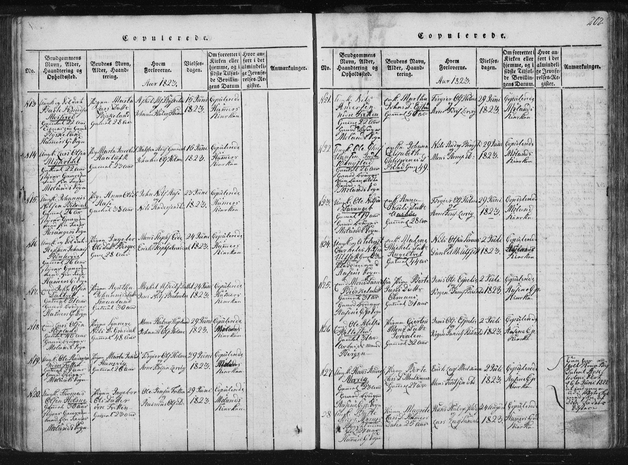 Hamre sokneprestembete, AV/SAB-A-75501/H/Ha/Haa/Haaa/L0010: Parish register (official) no. A 10, 1816-1826, p. 202