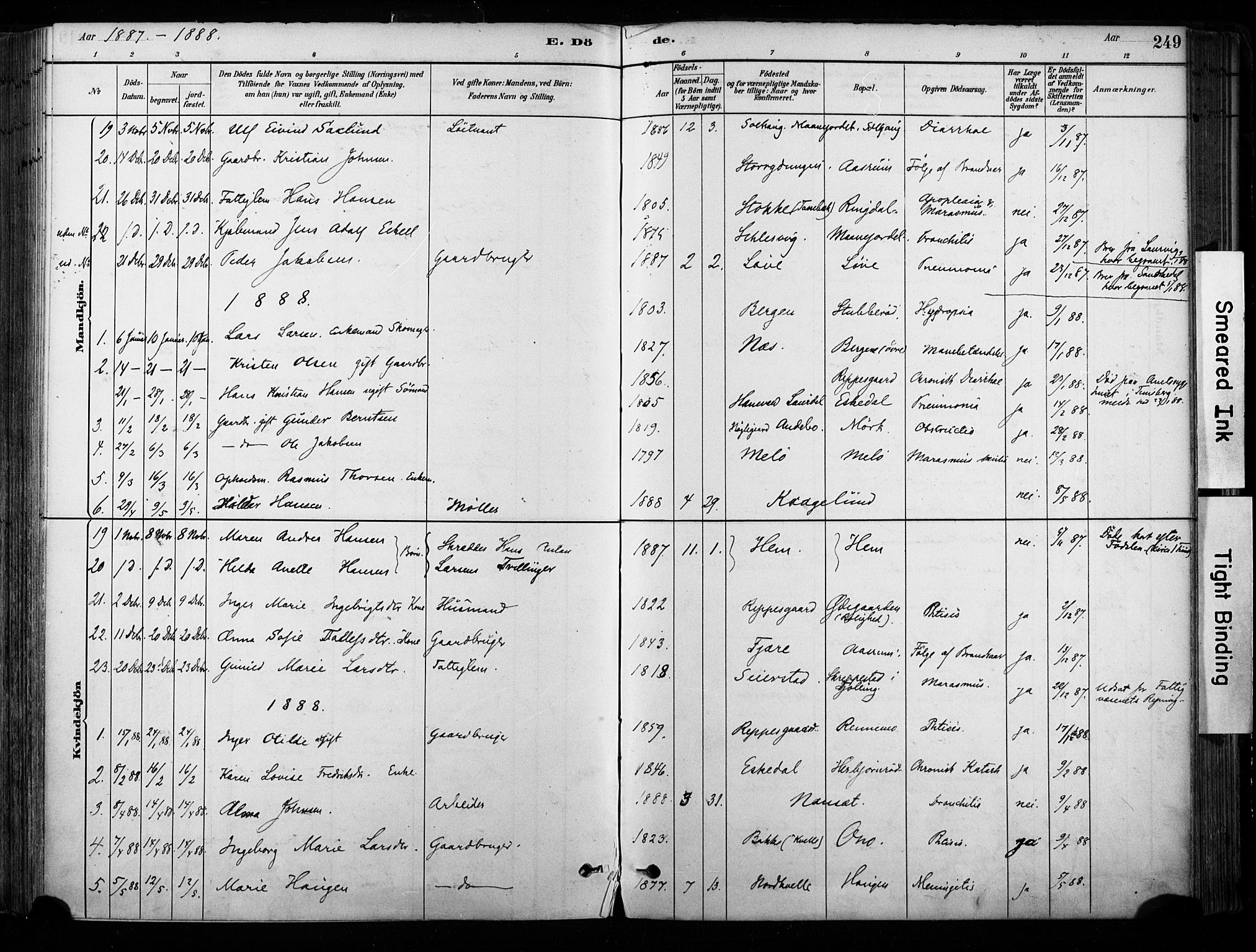 Hedrum kirkebøker, AV/SAKO-A-344/F/Fa/L0009: Parish register (official) no. I 9, 1881-1903, p. 249