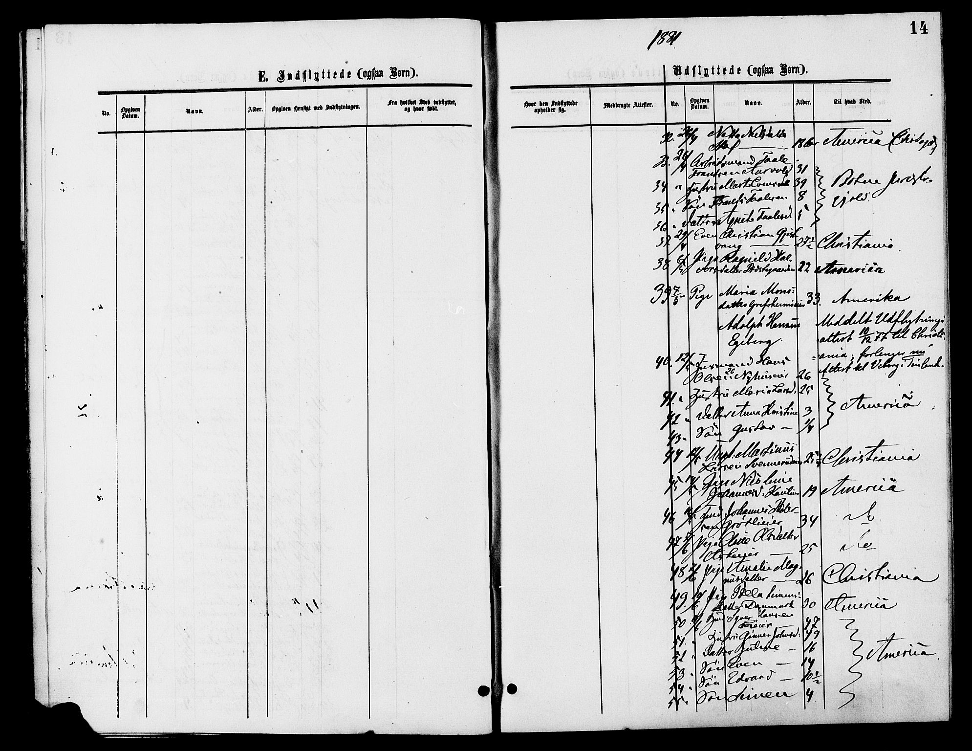 Nes prestekontor, Hedmark, AV/SAH-PREST-020/K/Ka/L0007: Parish register (official) no. 7, 1877-1886, p. 14