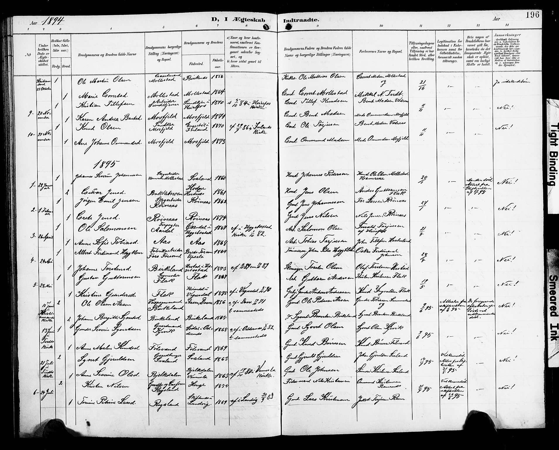 Birkenes sokneprestkontor, SAK/1111-0004/F/Fb/L0004: Parish register (copy) no. B 4, 1893-1930, p. 196