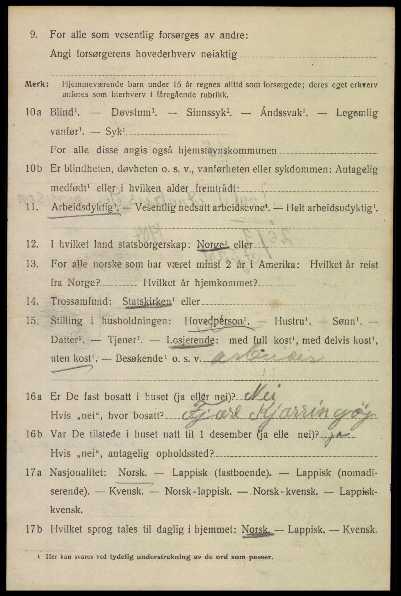 SAT, 1920 census for Bodø, 1920, p. 13324