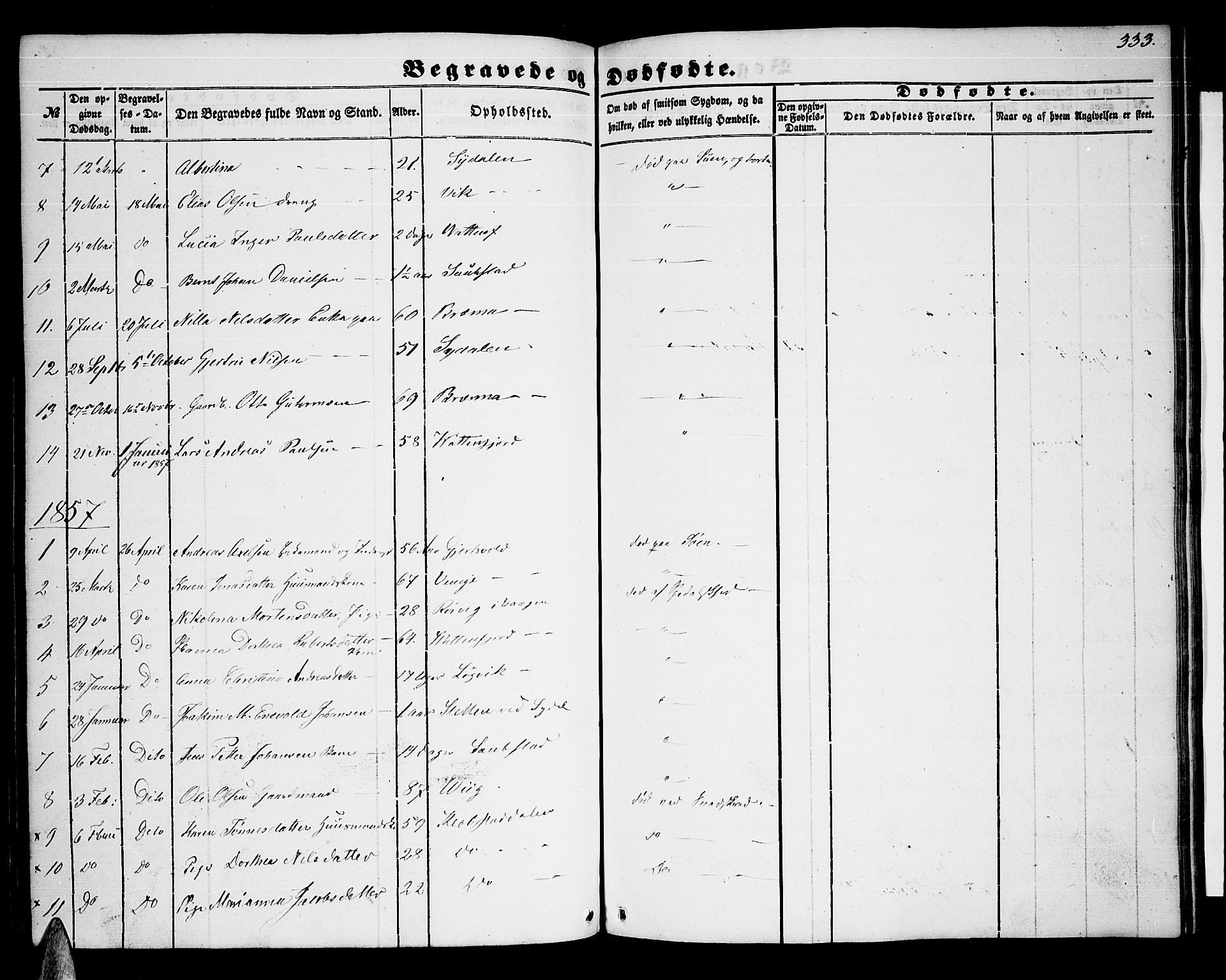 Ministerialprotokoller, klokkerbøker og fødselsregistre - Nordland, AV/SAT-A-1459/876/L1102: Parish register (copy) no. 876C01, 1852-1886, p. 333