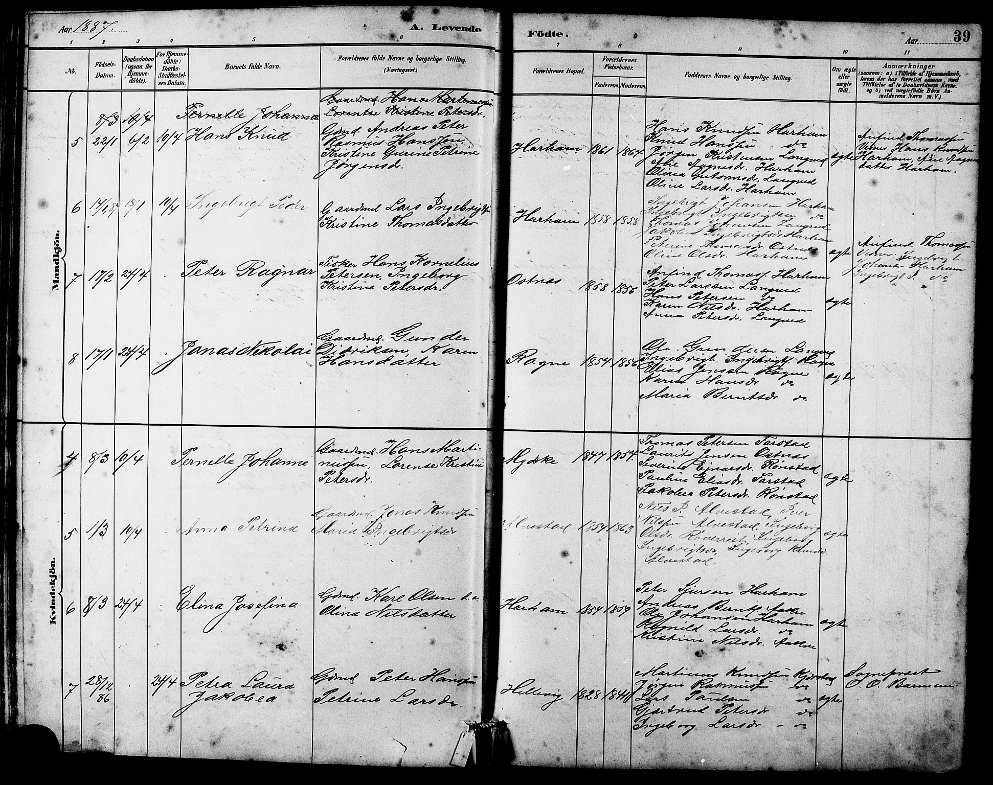 Ministerialprotokoller, klokkerbøker og fødselsregistre - Møre og Romsdal, AV/SAT-A-1454/536/L0510: Parish register (copy) no. 536C05, 1881-1898, p. 39