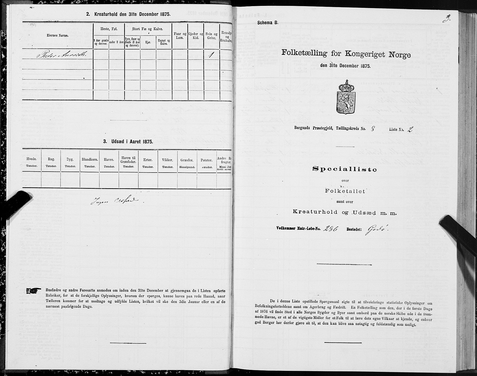 SAT, 1875 census for 1531P Borgund, 1875, p. 5003