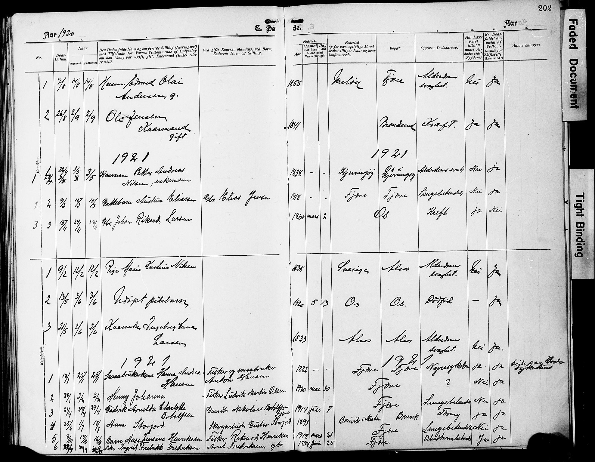 Ministerialprotokoller, klokkerbøker og fødselsregistre - Nordland, SAT/A-1459/803/L0077: Parish register (copy) no. 803C04, 1897-1930, p. 202