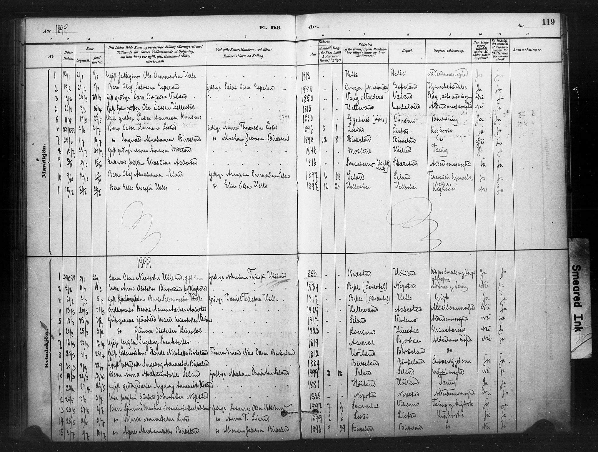 Nord-Audnedal sokneprestkontor, AV/SAK-1111-0032/F/Fa/Faa/L0003: Parish register (official) no. A 3, 1882-1900, p. 119