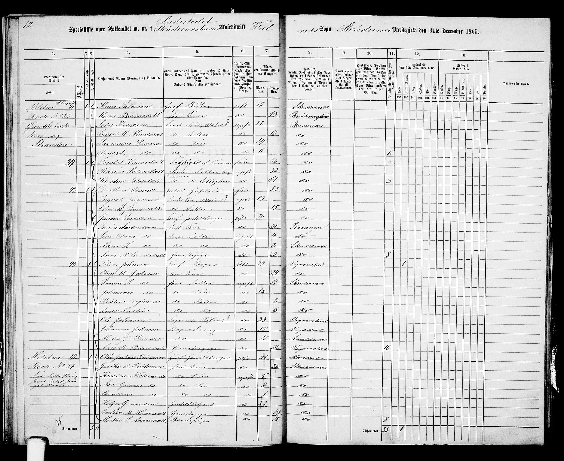 RA, 1865 census for Skudenes, 1865, p. 224