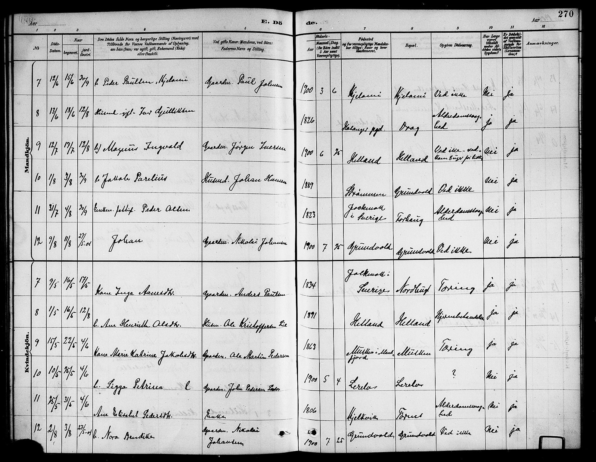 Ministerialprotokoller, klokkerbøker og fødselsregistre - Nordland, AV/SAT-A-1459/861/L0876: Parish register (copy) no. 861C02, 1887-1903, p. 270