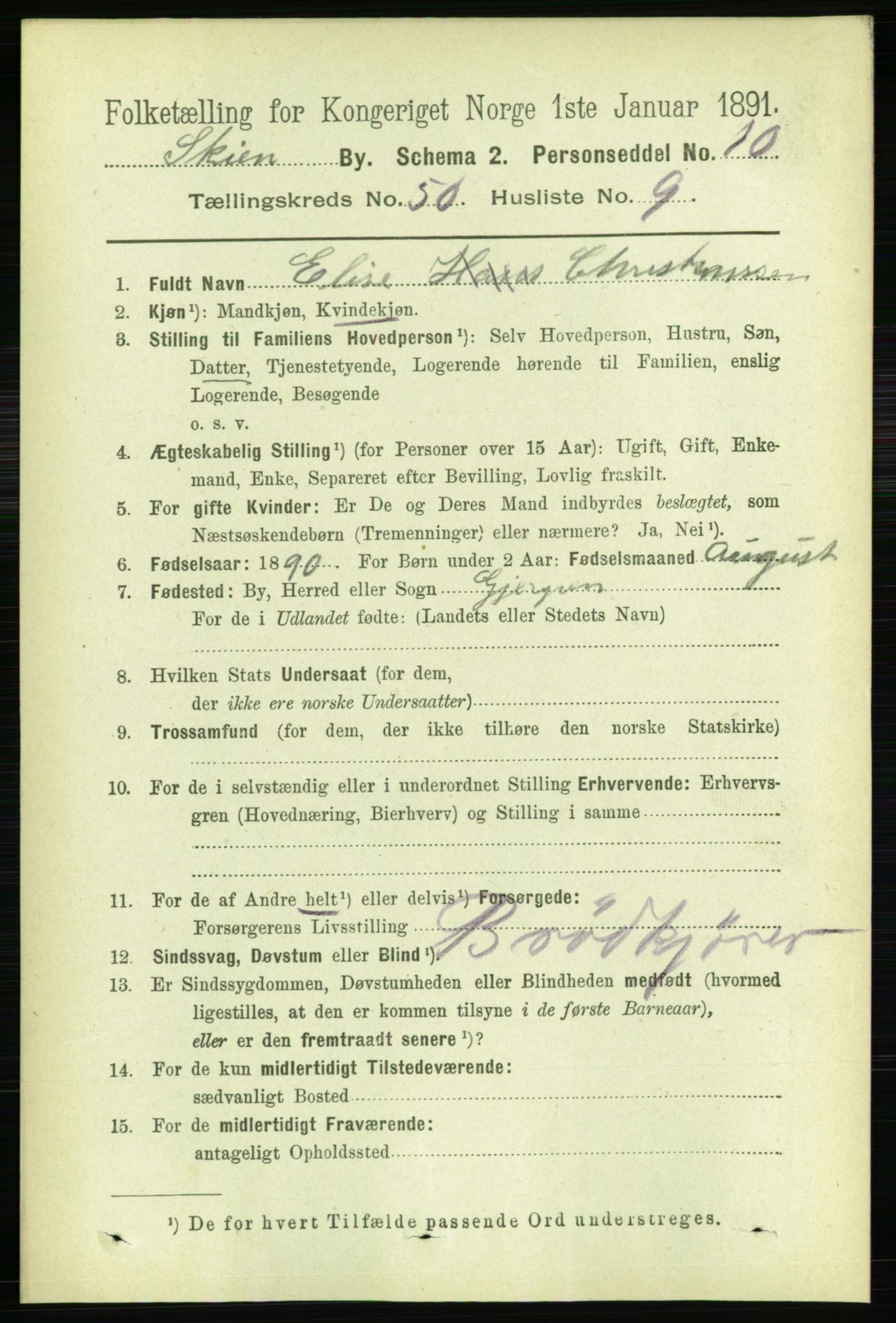 RA, 1891 census for 0806 Skien, 1891, p. 10838