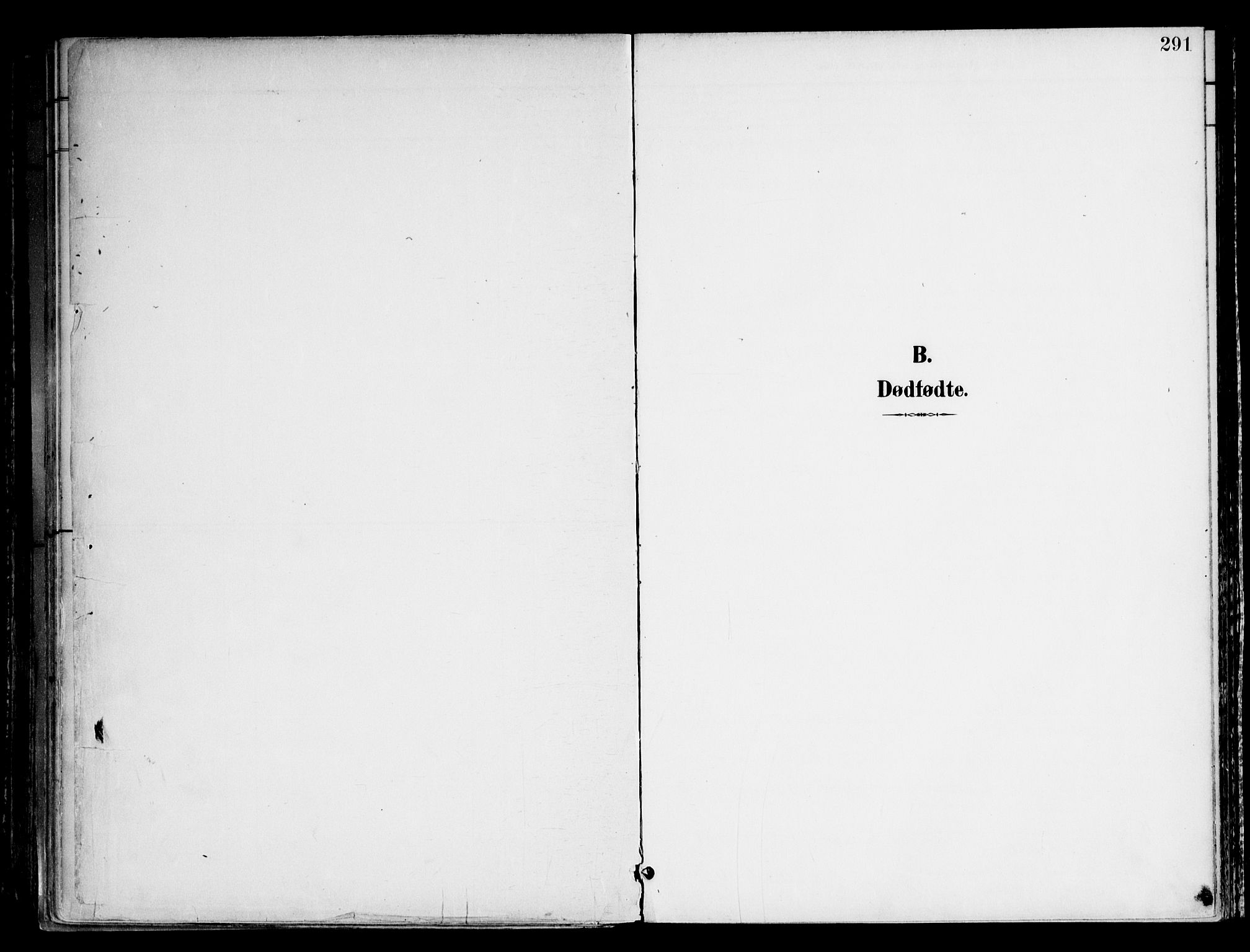 Frogner prestekontor Kirkebøker, SAO/A-10886/F/Fa/L0002: Parish register (official) no. 2, 1897-1917, p. 291