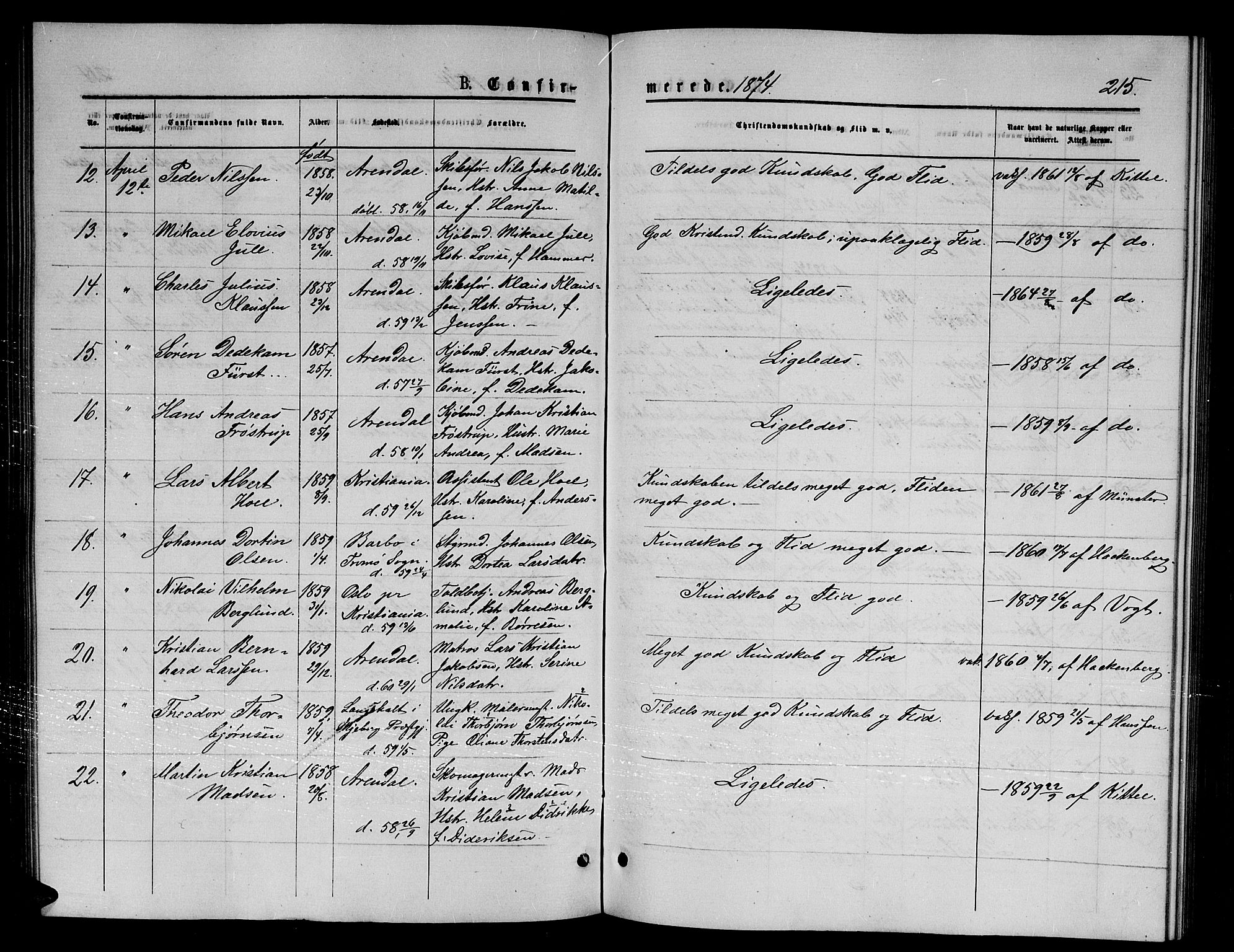Arendal sokneprestkontor, Trefoldighet, SAK/1111-0040/F/Fb/L0005: Parish register (copy) no. B 5, 1874-1888, p. 215