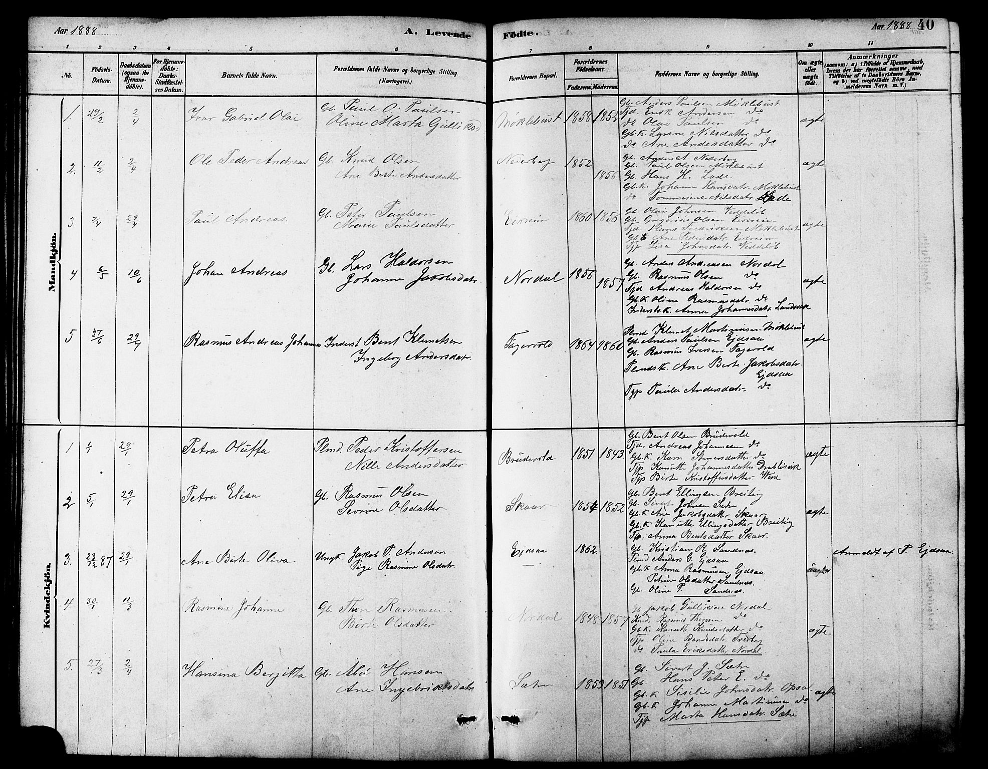 Ministerialprotokoller, klokkerbøker og fødselsregistre - Møre og Romsdal, AV/SAT-A-1454/502/L0027: Parish register (copy) no. 502C01, 1878-1908, p. 40