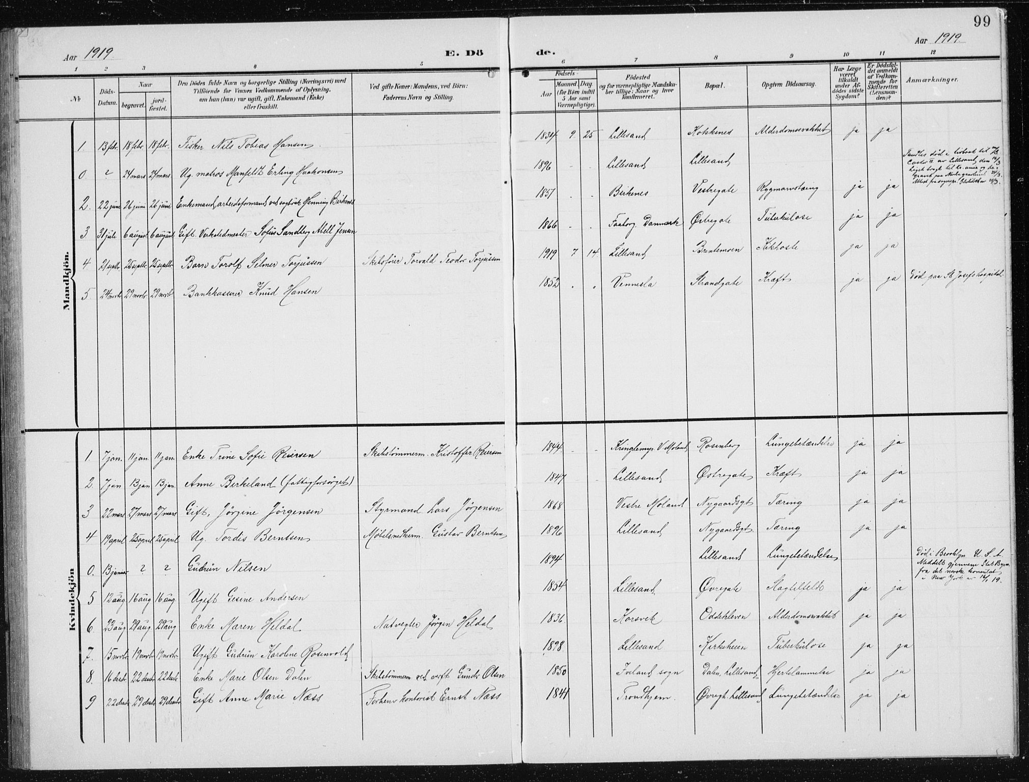 Vestre Moland sokneprestkontor, SAK/1111-0046/F/Fb/Fba/L0002: Parish register (copy) no. B 2, 1904-1934, p. 99