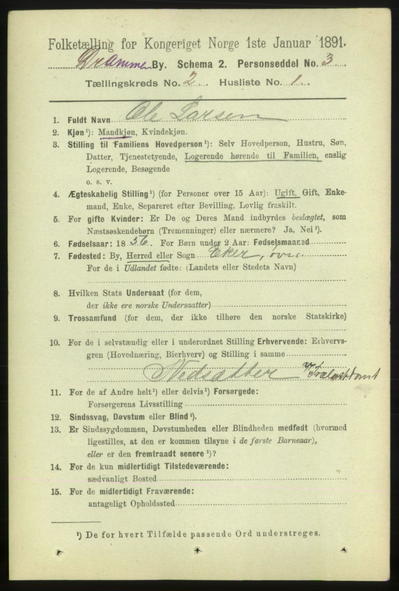 RA, 1891 census for 0602 Drammen, 1891, p. 4255