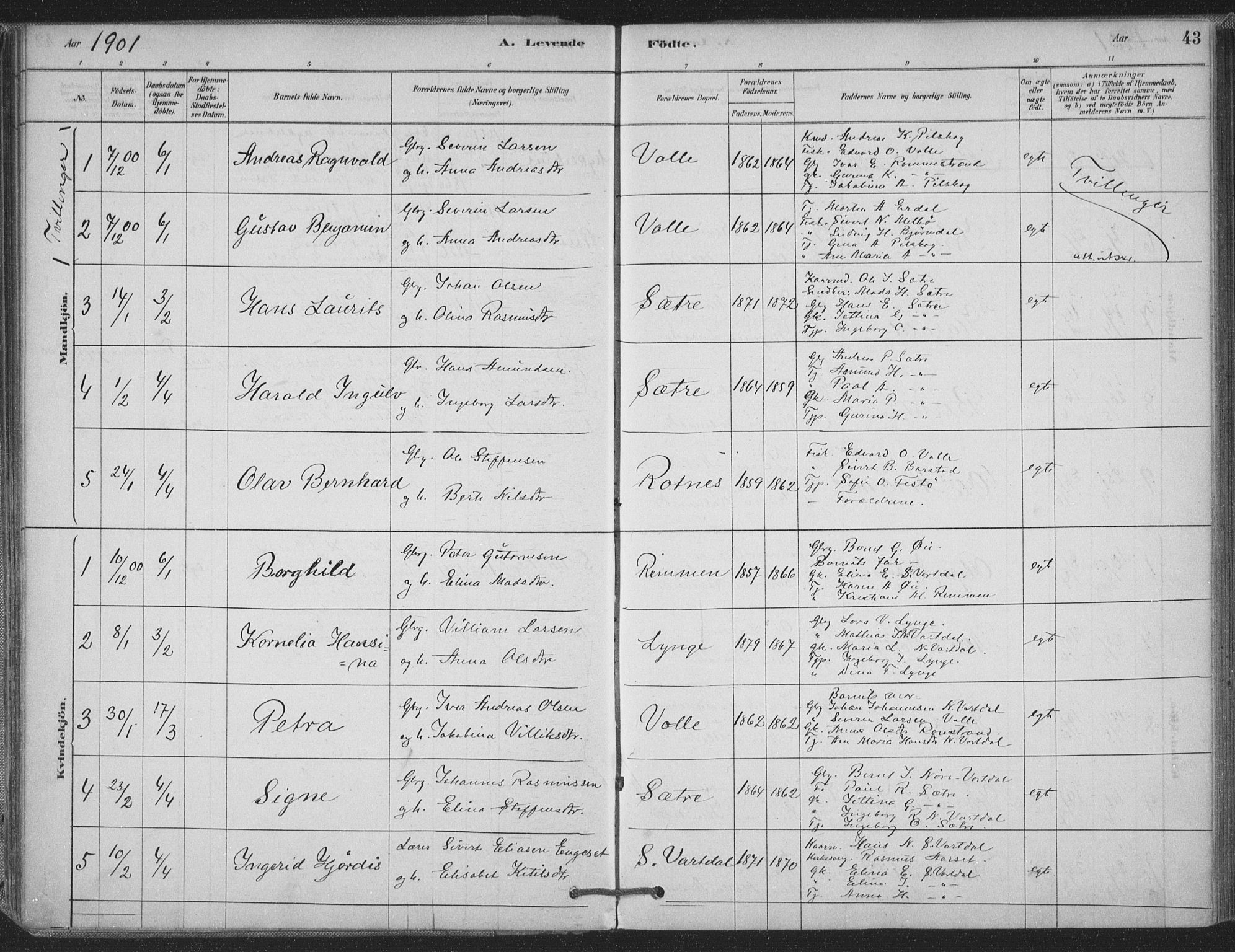 Ministerialprotokoller, klokkerbøker og fødselsregistre - Møre og Romsdal, AV/SAT-A-1454/514/L0199: Parish register (official) no. 514A01, 1878-1912, p. 43