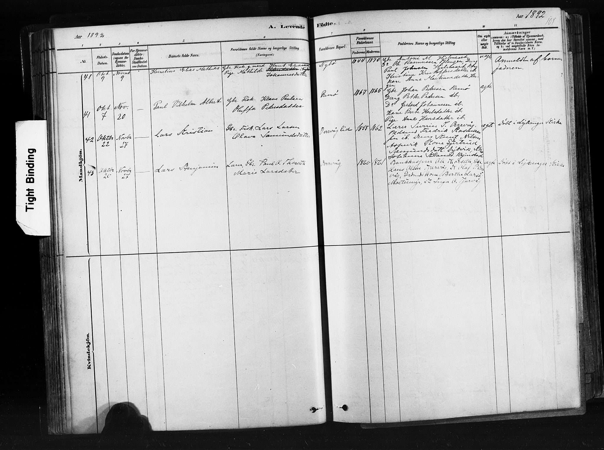 Ministerialprotokoller, klokkerbøker og fødselsregistre - Møre og Romsdal, AV/SAT-A-1454/507/L0073: Parish register (official) no. 507A08, 1878-1904, p. 101