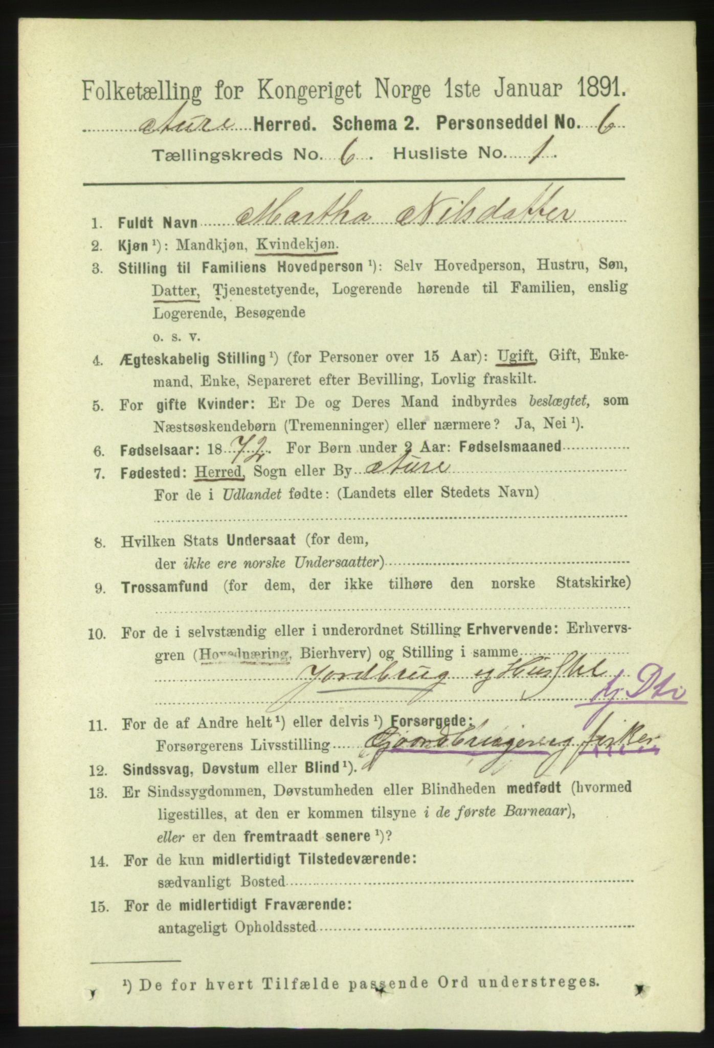 RA, 1891 census for 1569 Aure, 1891, p. 3376