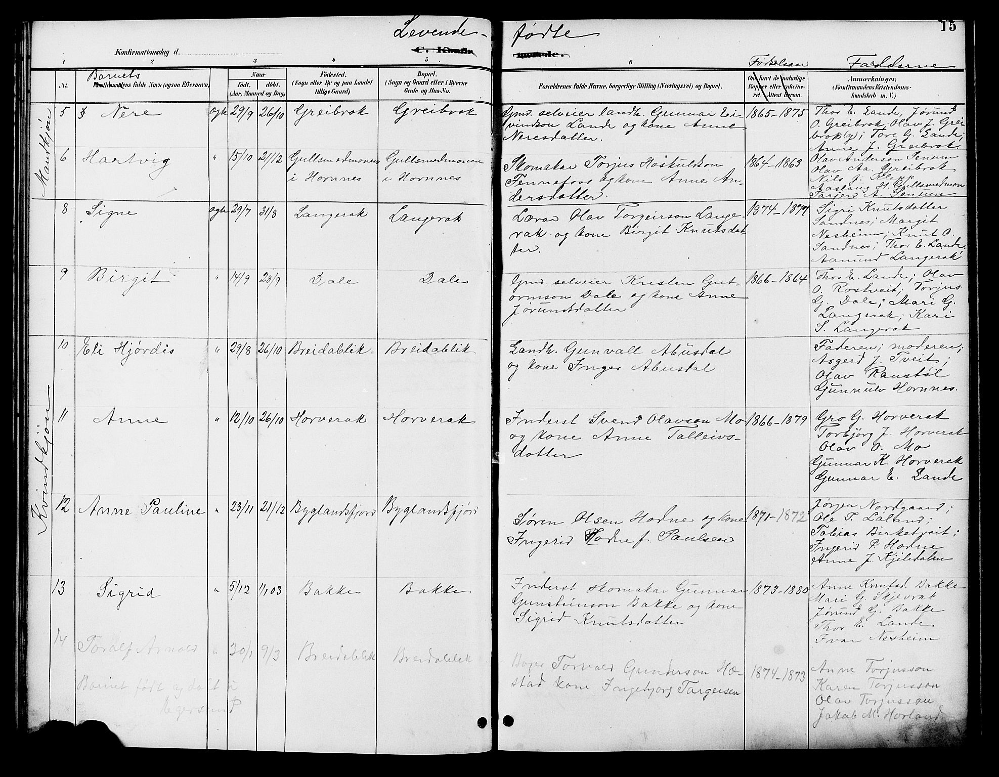 Bygland sokneprestkontor, AV/SAK-1111-0006/F/Fb/Fbd/L0002: Parish register (copy) no. B 2, 1894-1909, p. 15