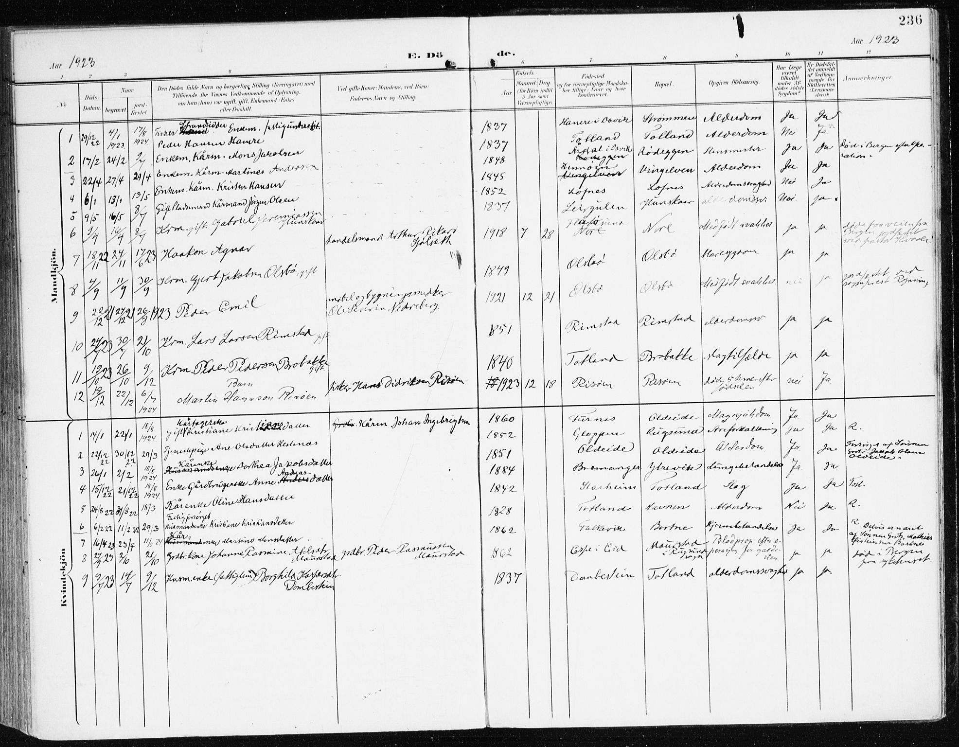 Davik sokneprestembete, AV/SAB-A-79701/H/Haa/Haad/L0002: Parish register (official) no. D 2, 1901-1930, p. 236