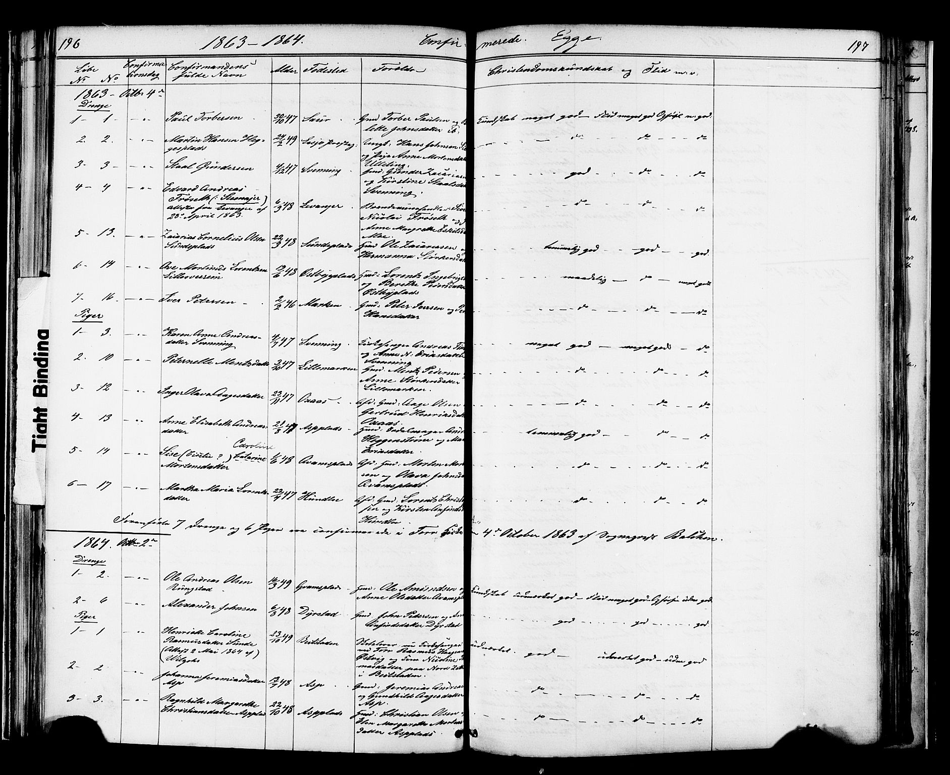Ministerialprotokoller, klokkerbøker og fødselsregistre - Nord-Trøndelag, SAT/A-1458/739/L0367: Parish register (official) no. 739A01 /3, 1838-1868, p. 196-197