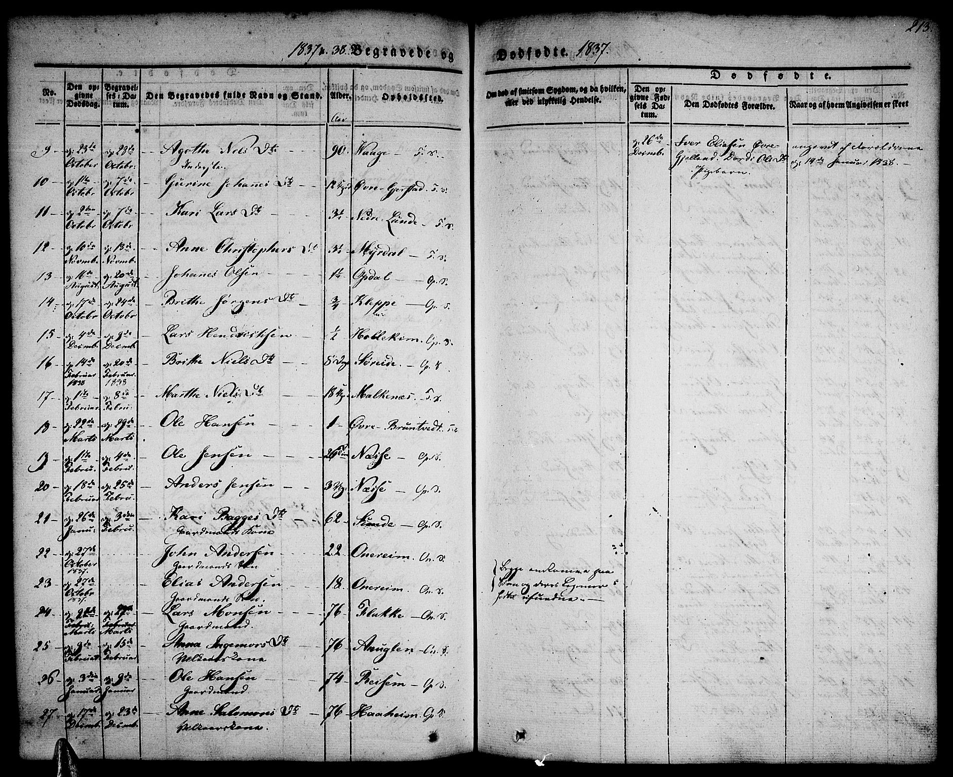 Tysnes sokneprestembete, SAB/A-78601/H/Haa: Parish register (official) no. A 9, 1837-1848, p. 213